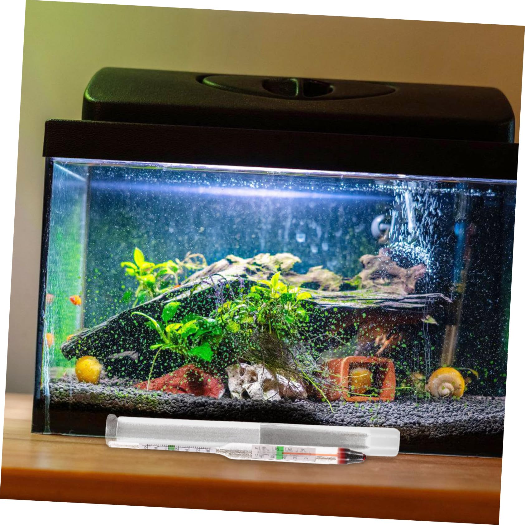 Toyvian 10 Juegos medidor de salinidad del Agua de mar Peces Suministros para acuarios de Agua Salada Tanque probadores de peceras hidrómetro de Vidrio hidrómetro acuático el plastico