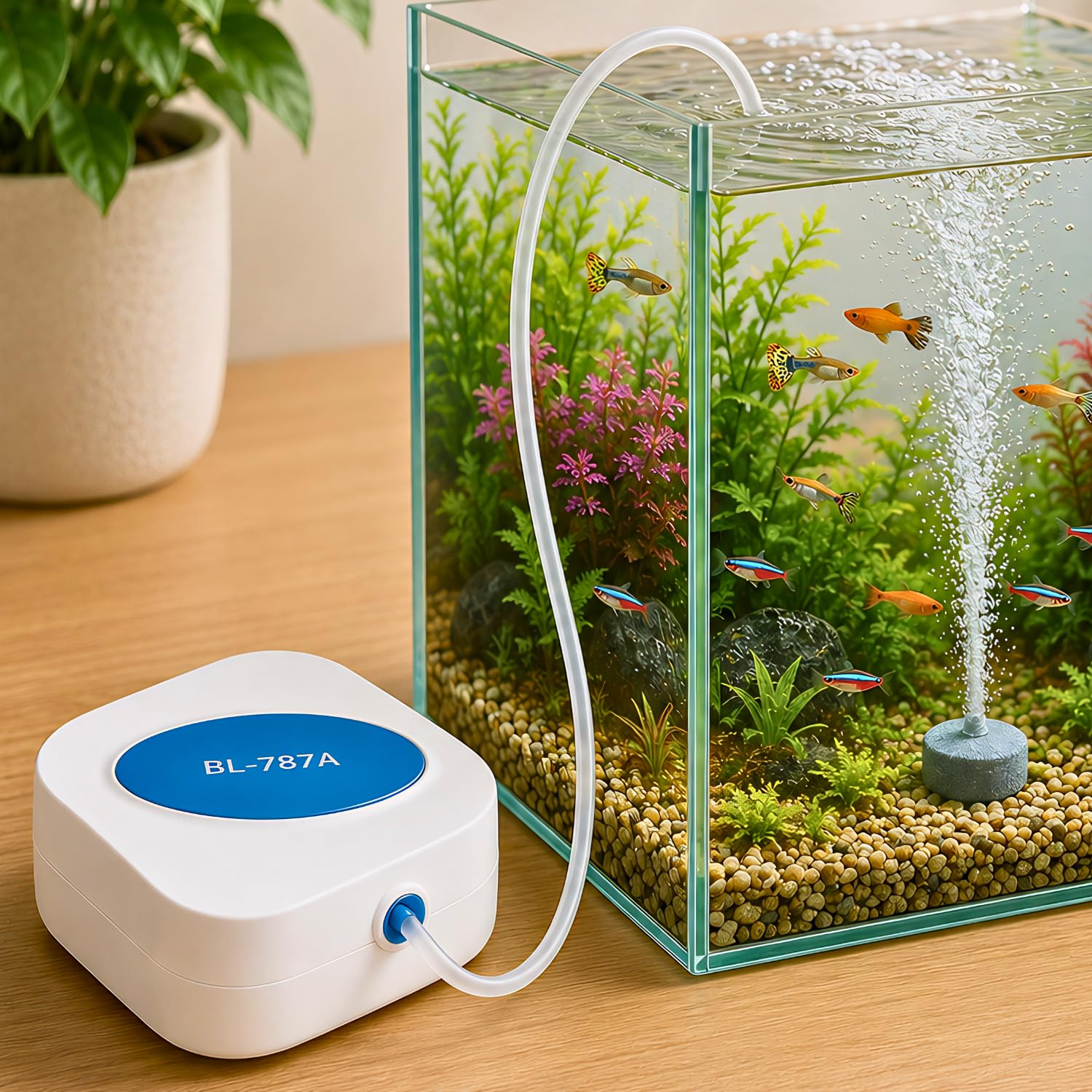 VAYINATO® BL-787A Aquarium Air Pump for Fish Tank with Air Stone & Silicone Tube | Quiet Oxygen Aerator Pump for Small & Medium Aquariums | Single Outlet Portable Air Pump for Freshwater Tanks-image-32