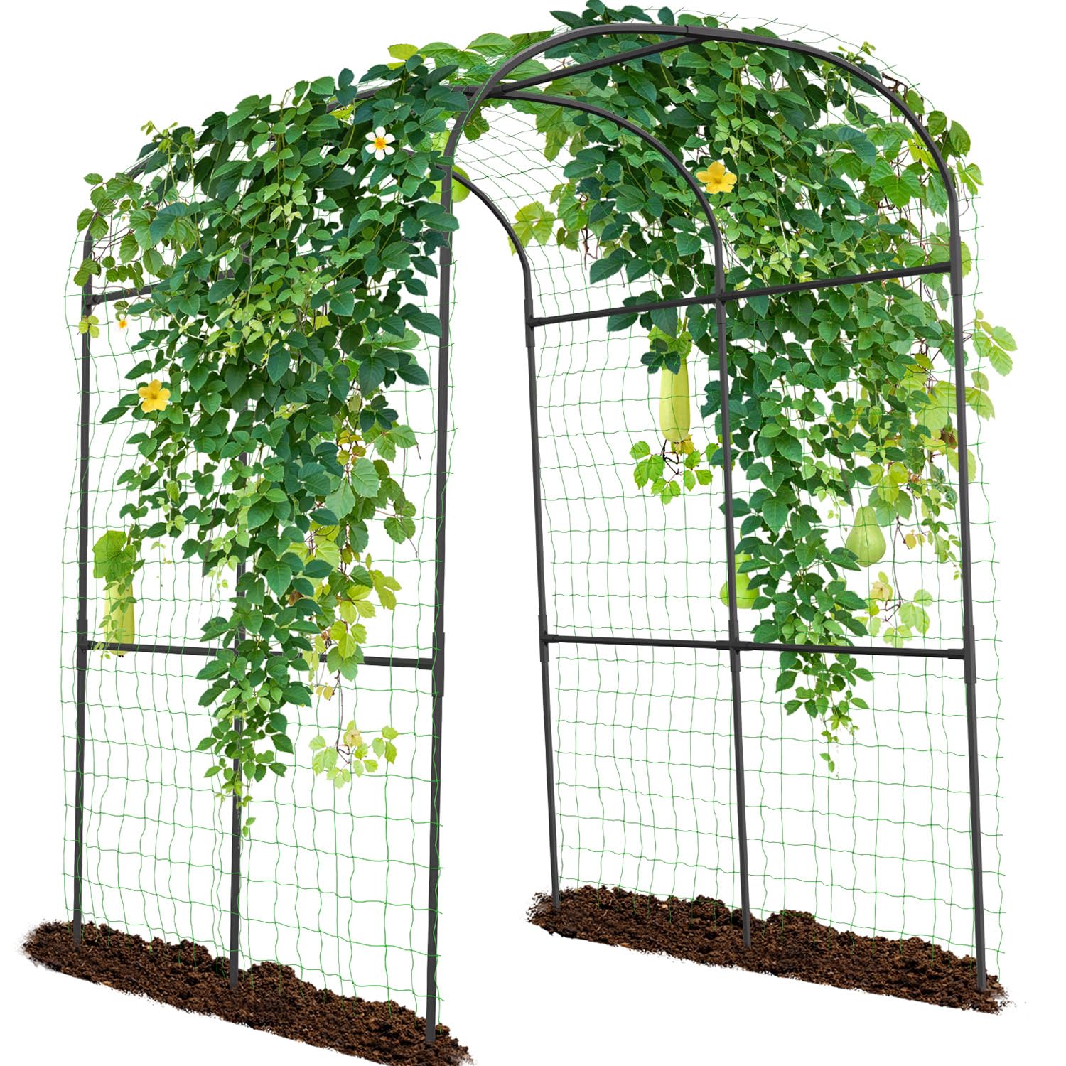 SUNYRISY 71' x 47' x 83' Garden Arch Trellis