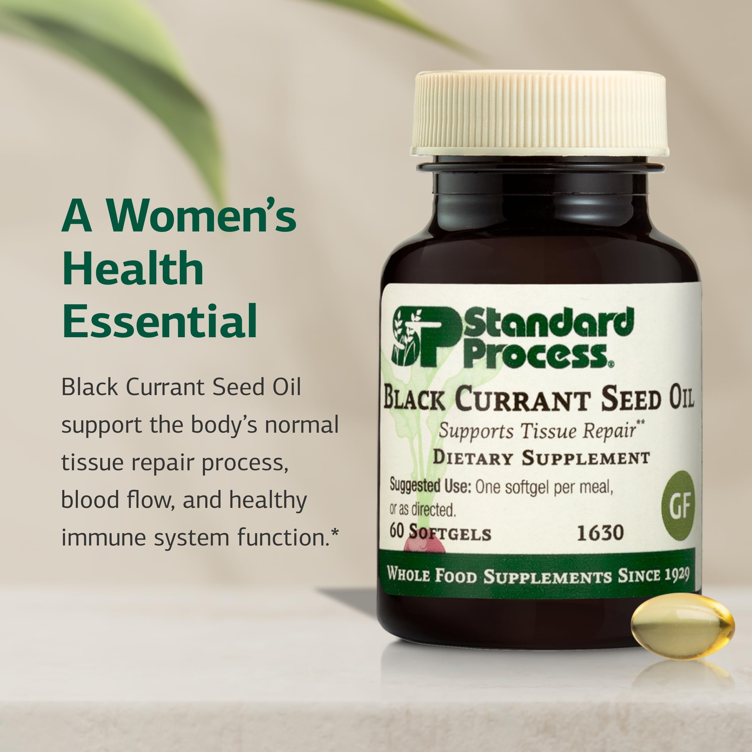 Standard Process Black Currant Seed Oil, Tissue Repair Support, 60 Softgels — Amazon image 3