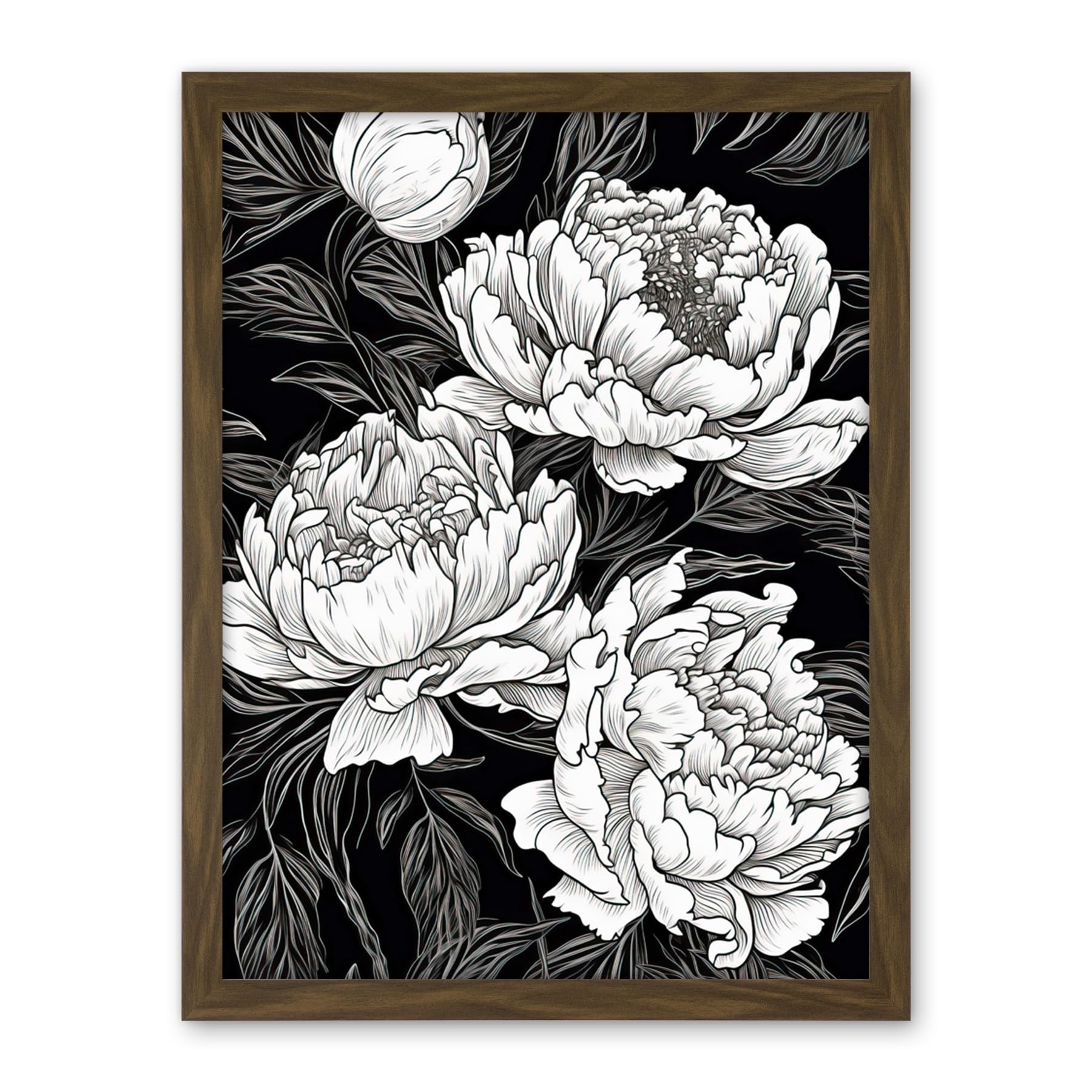 Artery8 Peony Flower Blooms White on Black Illustration Artwork Framed Wall Art Print 18X24 Inch