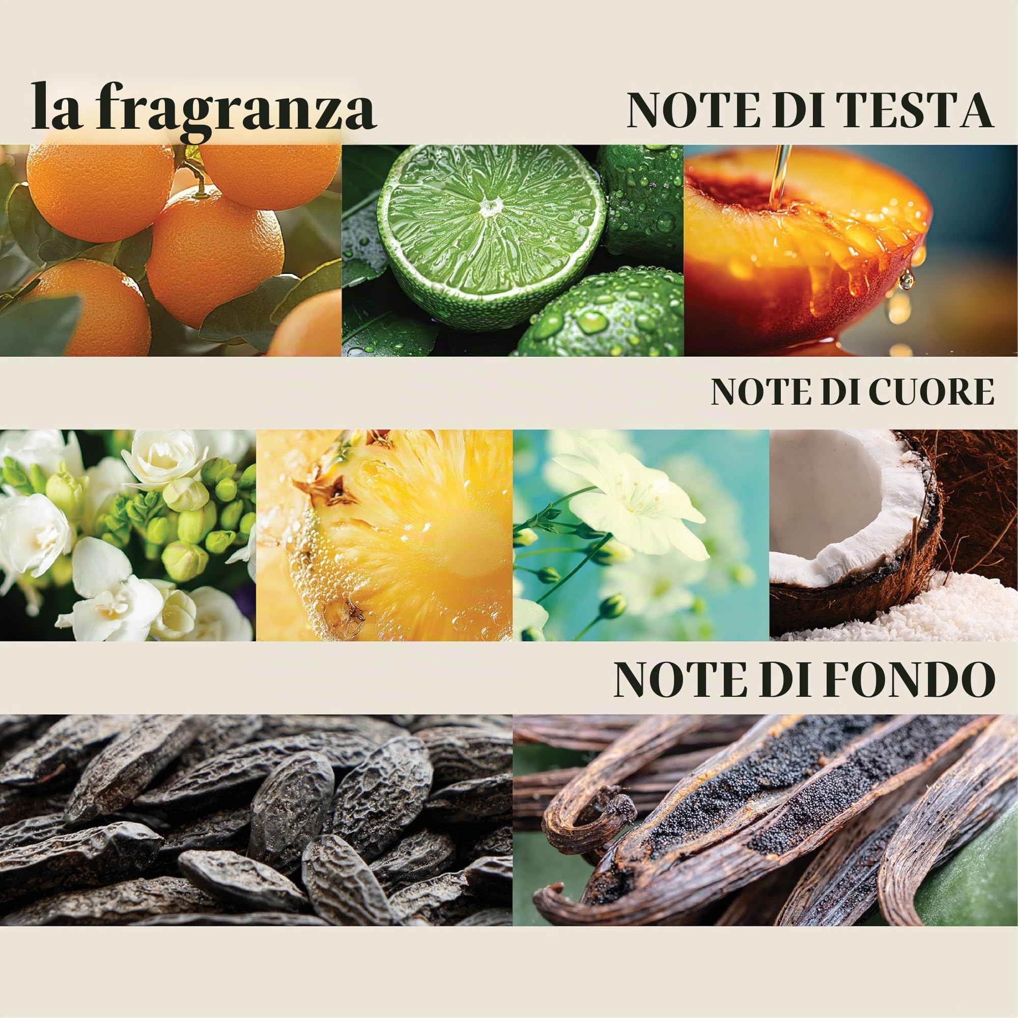 L'ANZA Healing Shampoo Crema Idratante agli Estratti di Tamanu, Dona Benessere al Cuoio Capelluto, Idrata e Districa Delicatamente i Capelli Secchi, Privo di Solfati, Parabeni e Senza Glutine, 1000 ml