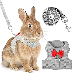 Conjunto de coleira e coleira de coelho, colete macio e respirável com lindo laço de malha ajustável, coleira de coelho para caminhada, à prova de fuga para gatinhos, furões