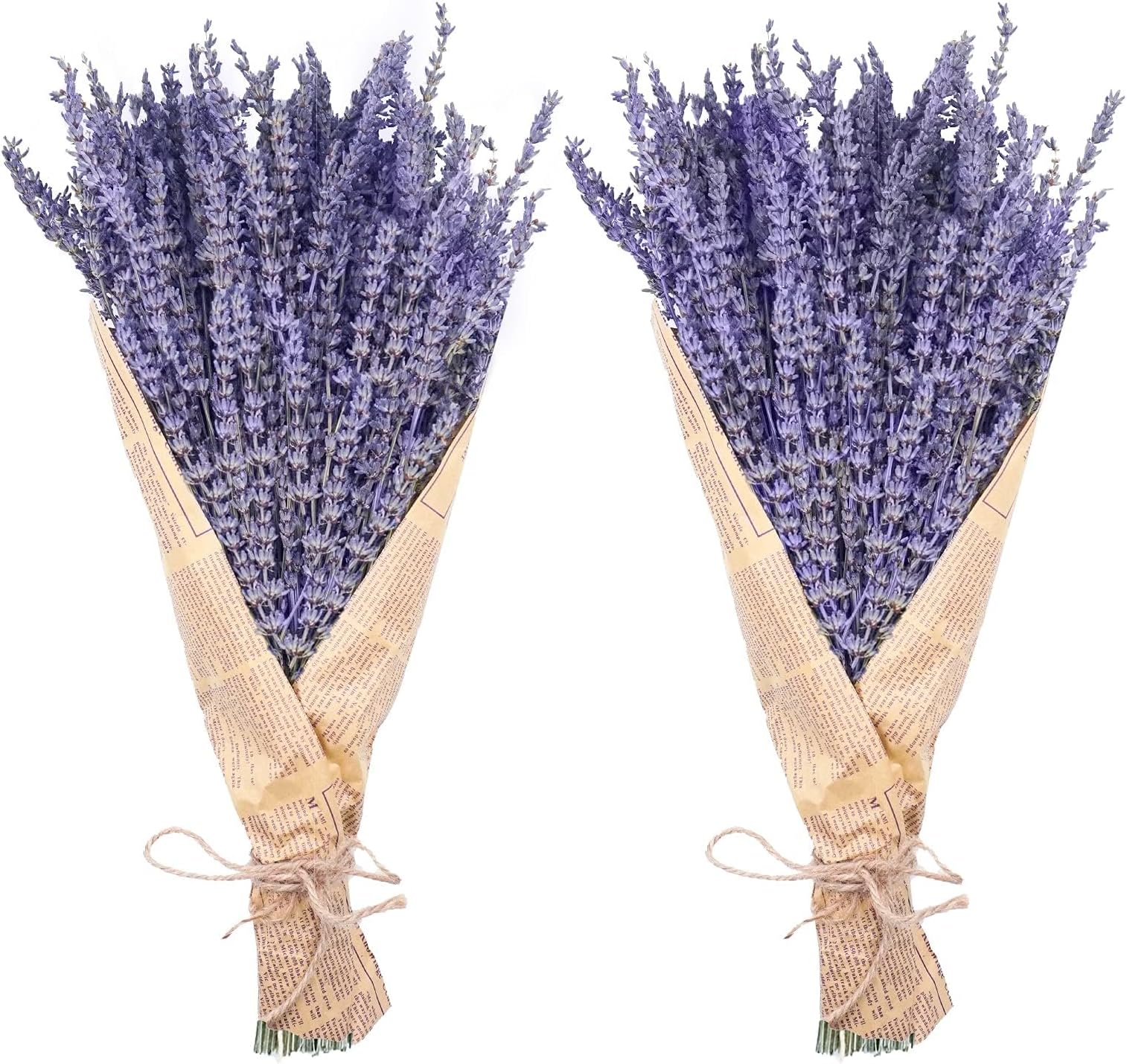 Dried Lavender Bundles, Uieke Natural Dried Lavender Flowers 280-300 Stems 16“ for Home Weeding Decoration Flower Arrangements Home Fragrance 2 Bundles