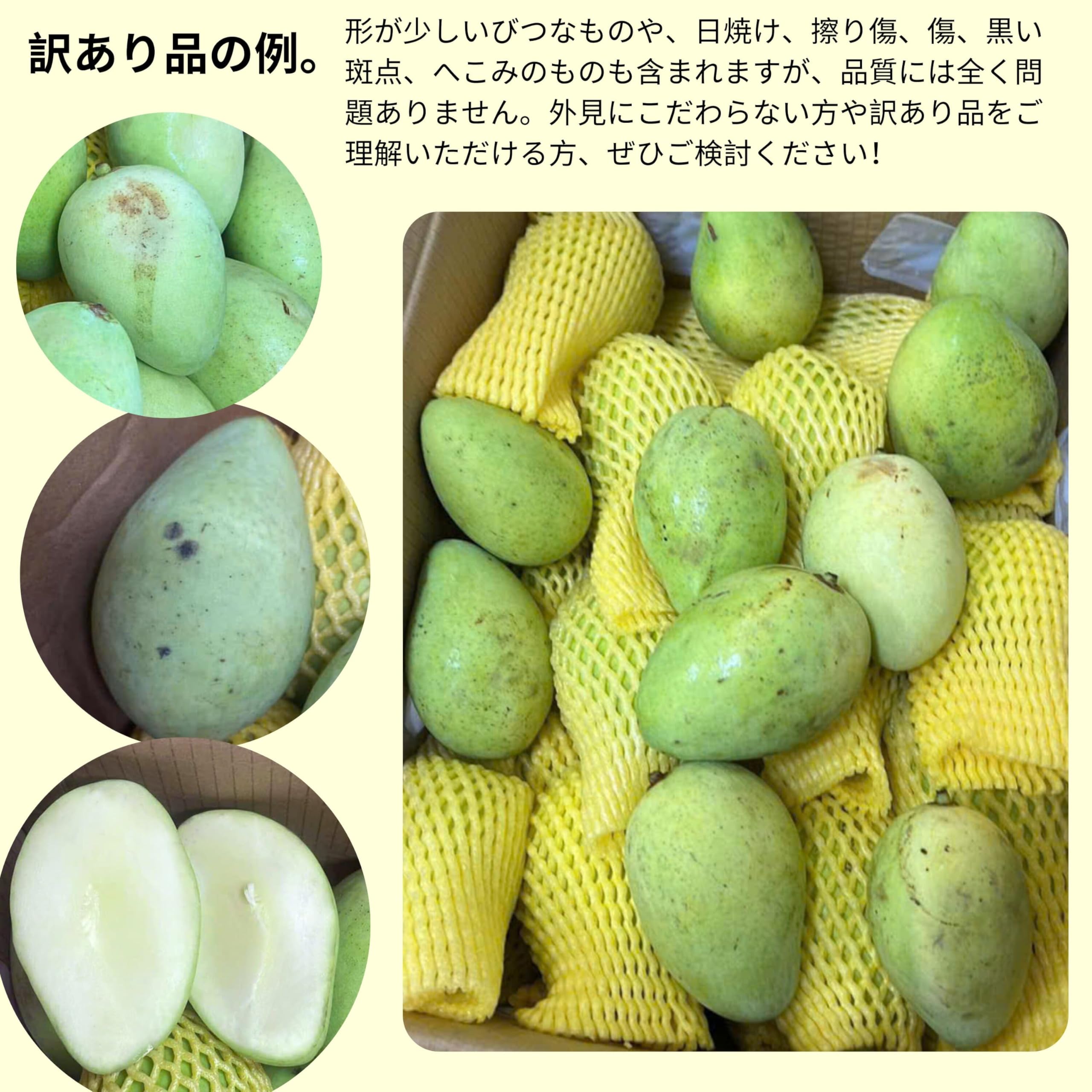 Amazon.co.jp: 【SAM&AIMEE STORE】ベトナム産 グリーンマンゴー 1