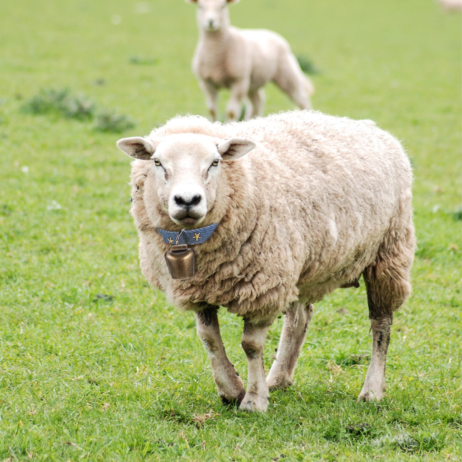 VICASKY Campanelle da Appendere per Animali da Fattoria in Rame, Set da 16 Pezzi Leggere e Superficie Liscia per Allevamento e Pascolo Colore Casuale