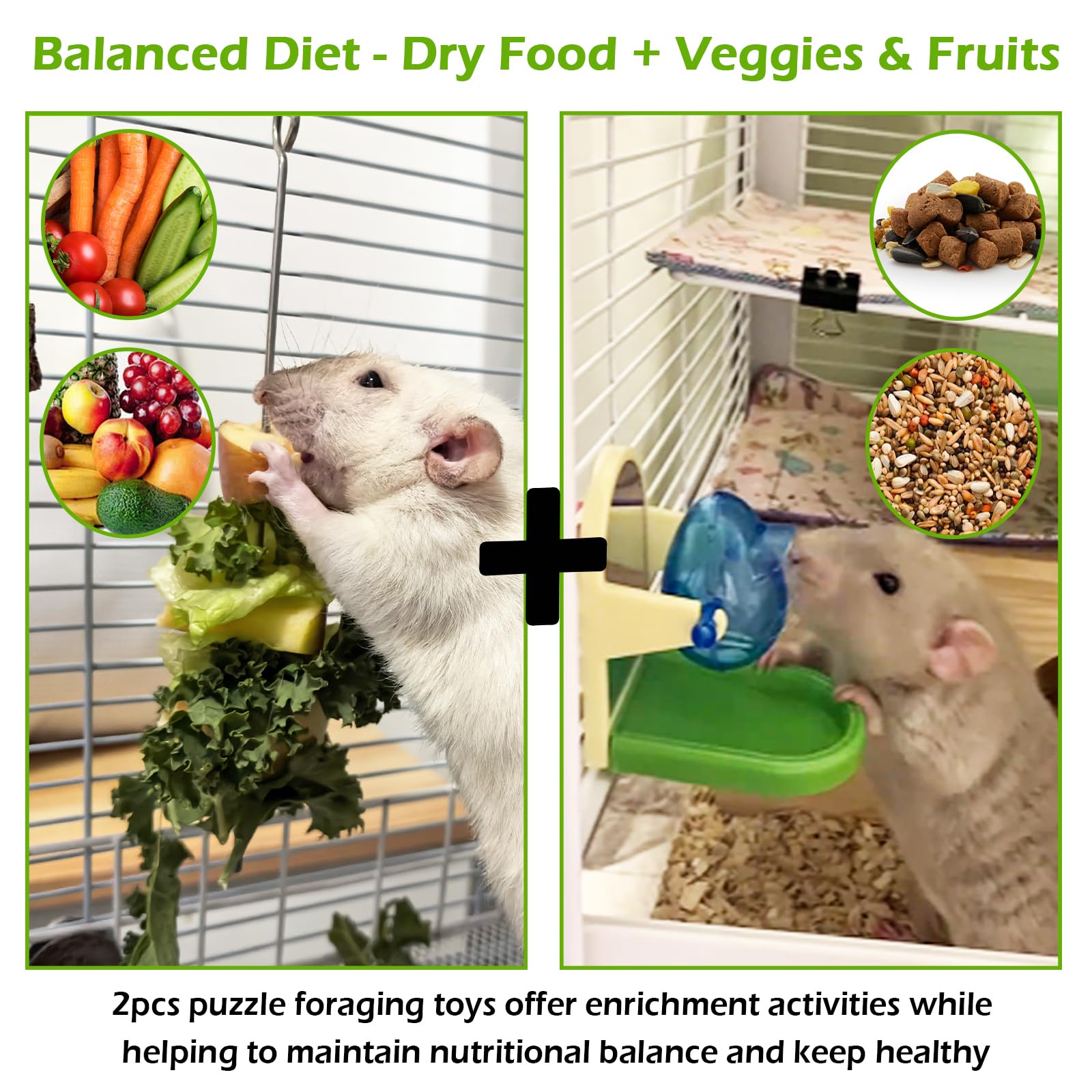 5Pcs 304 Stainless Steel Rat Enrichment Toys, Foraging Fruit Veg & Treat Dispenser Holder, Interactive Puzzle Cage Accessories Hanging Slow Feeder for Rats Mice Parakeet Birds - image 2