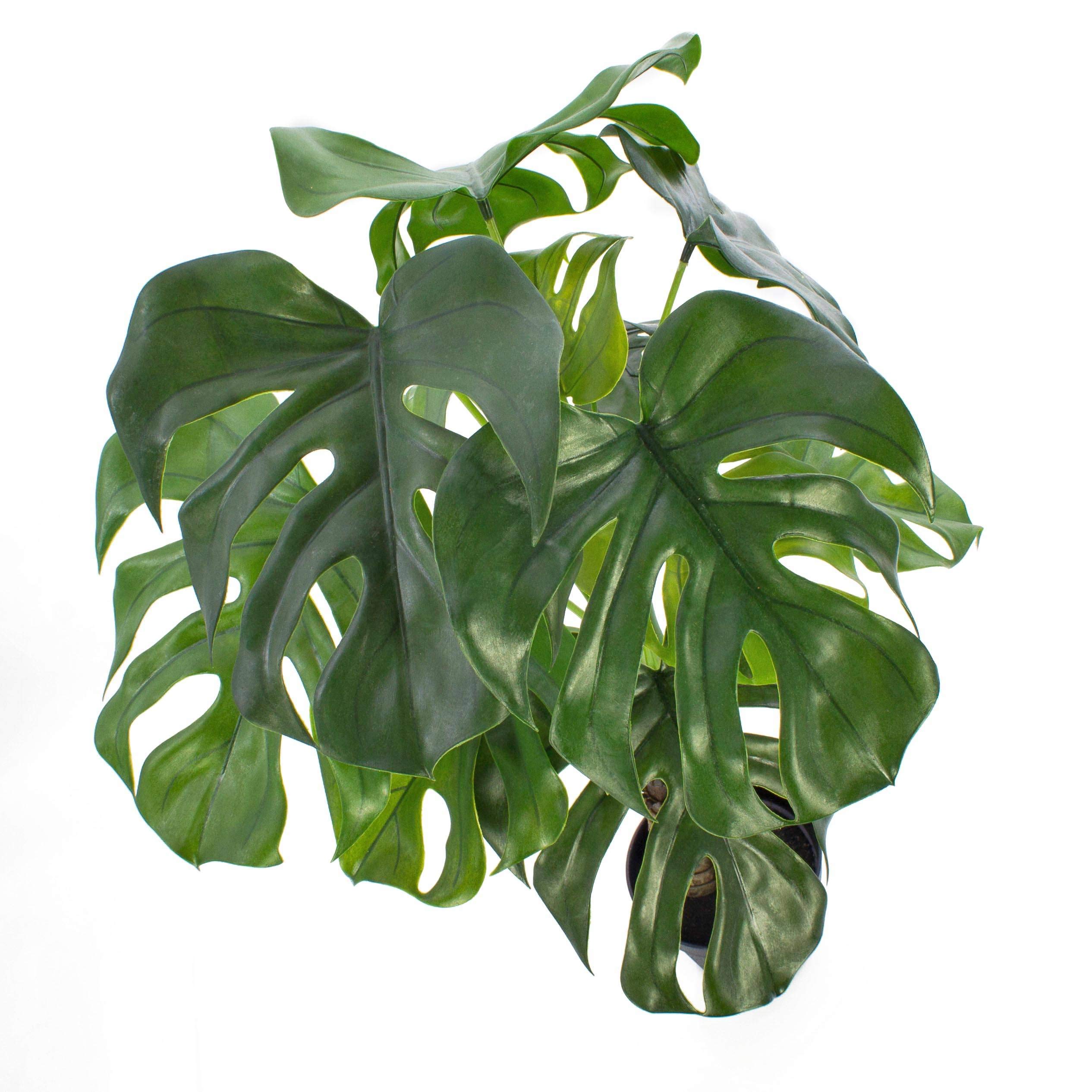 Monstera Deli Kotto 12 Sheets Table Decoration Pot, Green, 90 cm,  Weatherproof  Artificial Plant  Green Plant  artplants : Amazon.de: Home  & Kitchen