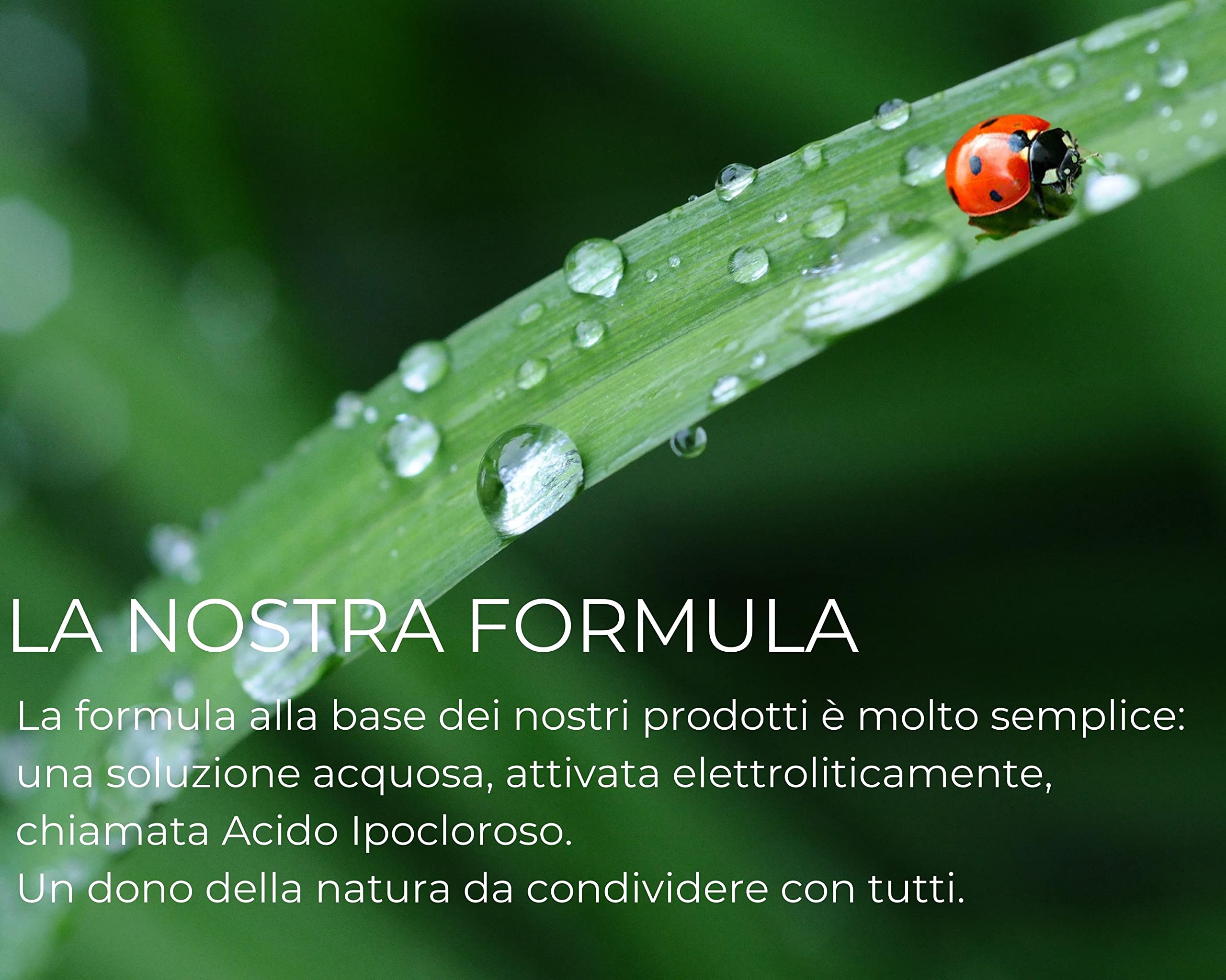 ECASAN Igienizzante Spray Mani Viso e Corpo 100% Naturale Spray Rinfrescante Viso Sanificante, Acido Ipocloroso spray viso, Skin care Viso Senza Profumo e Alcool - Formula Green e Vegan (150 ml)