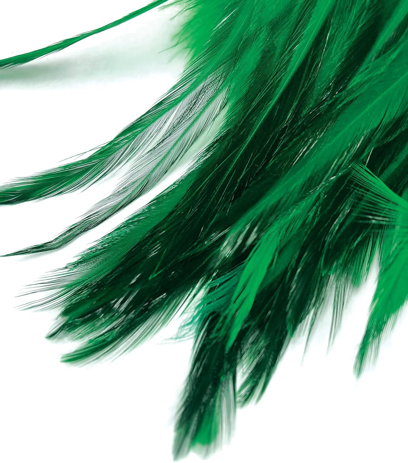 Creative Angler Saddle Hackle Fly Tying Materials - Natural Feathers for Wet Flies, Rooster Feathers, Hair Feathers for Crafts, Fly Tying Kit - Small Feathers Combo Pack of Steelhead Colored Feathers