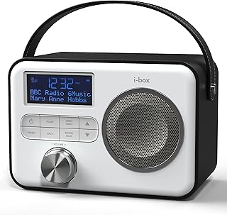 DAB Radio Portable, Bluetooth Speaker, DAB Plus/DAB Radio, FM Radio, Mains Powered or Battery Powered, Portable Bluetooth Speaker, USB Charging for 10 Hours Playback