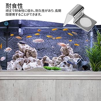 450×110×150㎜ 4室水槽 パンチング仕切り板+ガラス蓋付 未使用品 特注450×110×150㎜ 4室水槽 パンチング仕切り板+ガラス蓋付 未