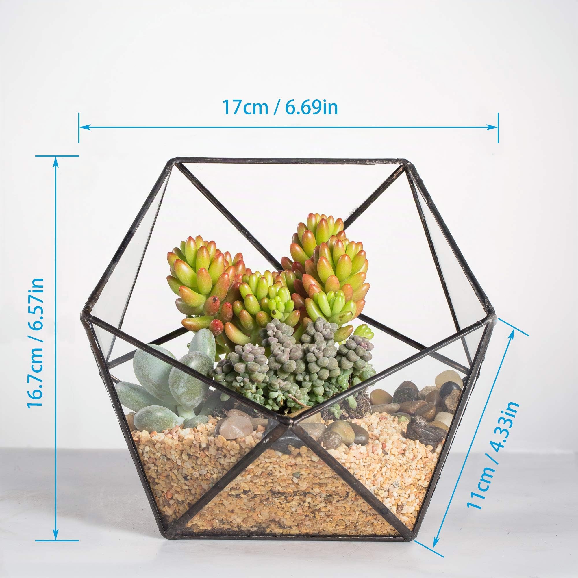 NCYP Géométrique Terrarium en Forme de Demi-sphère Triangulaire en Verre Fait à la Main, Pot de Fleurs pour bonsaï, Table Décoration pour Plantes Grasses (Pas de Plantes)
