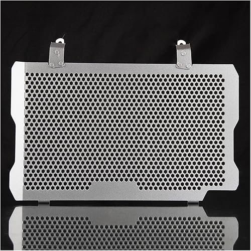 for BM-&W F750GS F850GS Adventure F850 F750 GS 2018 2019 2020 2021 Motorcycle Radiator Grille Guard Cover Protection F 850 750 GS (Color  1, Size