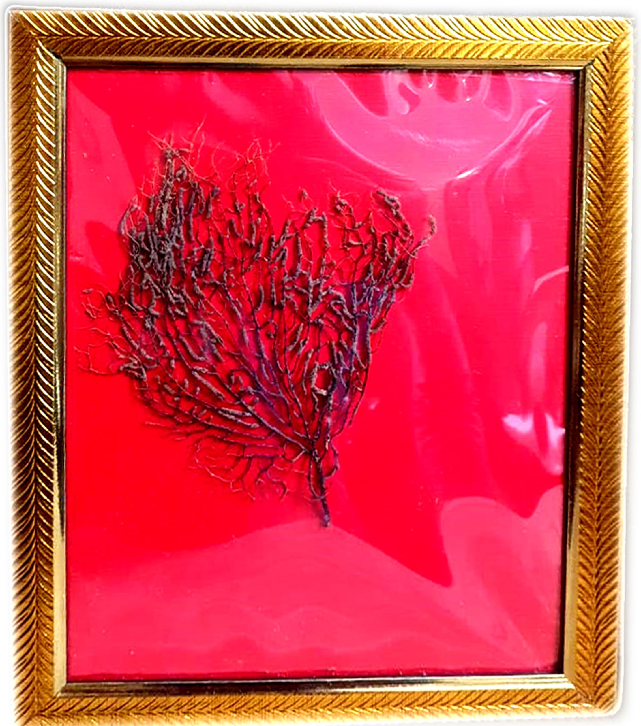 ASTRO-D Indrajal (Inderjal) Traditional Item | Spiritual Decor & Vastu Inspired Artifact | Cultural & Collection Use-image-19