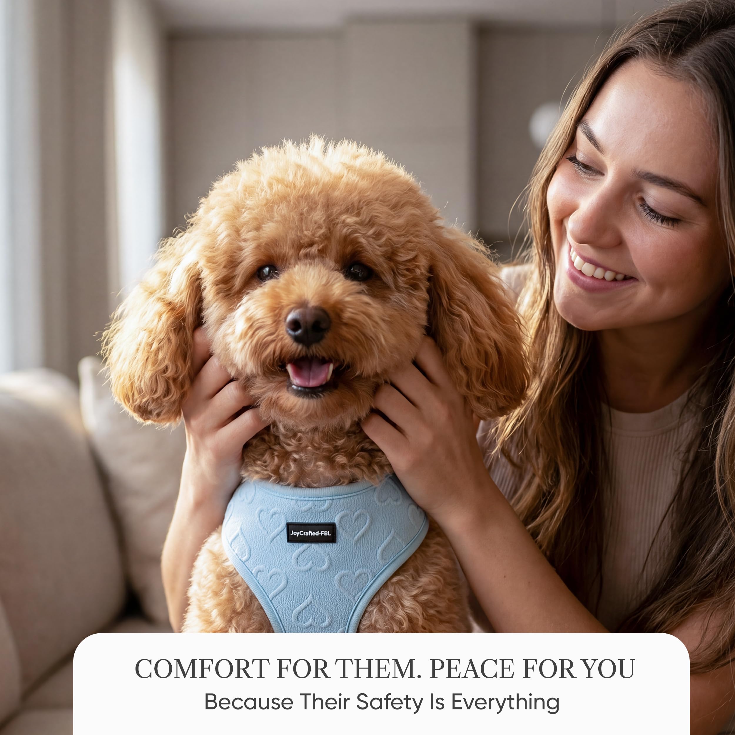 Hundegeschirr und Leine Set - Verstellbares, atmungsaktives Neopren, kein Ziehen, reflektierend, bequeme Passform für kleine und mittelgroße Hunde (Blau, S)