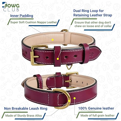 Miniatura 7 de DowgClub Collar reflectante de cuero genuino para perro, serie Stellar, seguro para caminar de noche, suave, acolchado acolchado, hecho a mano,