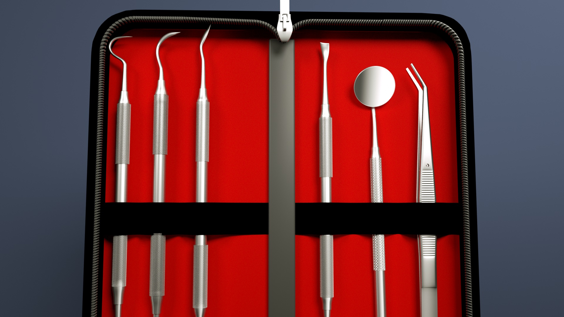 G.CATACC Professional 6-Piece Stainless Steel Dental Tools Kit
