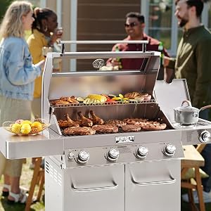 best natural gas grills for the money