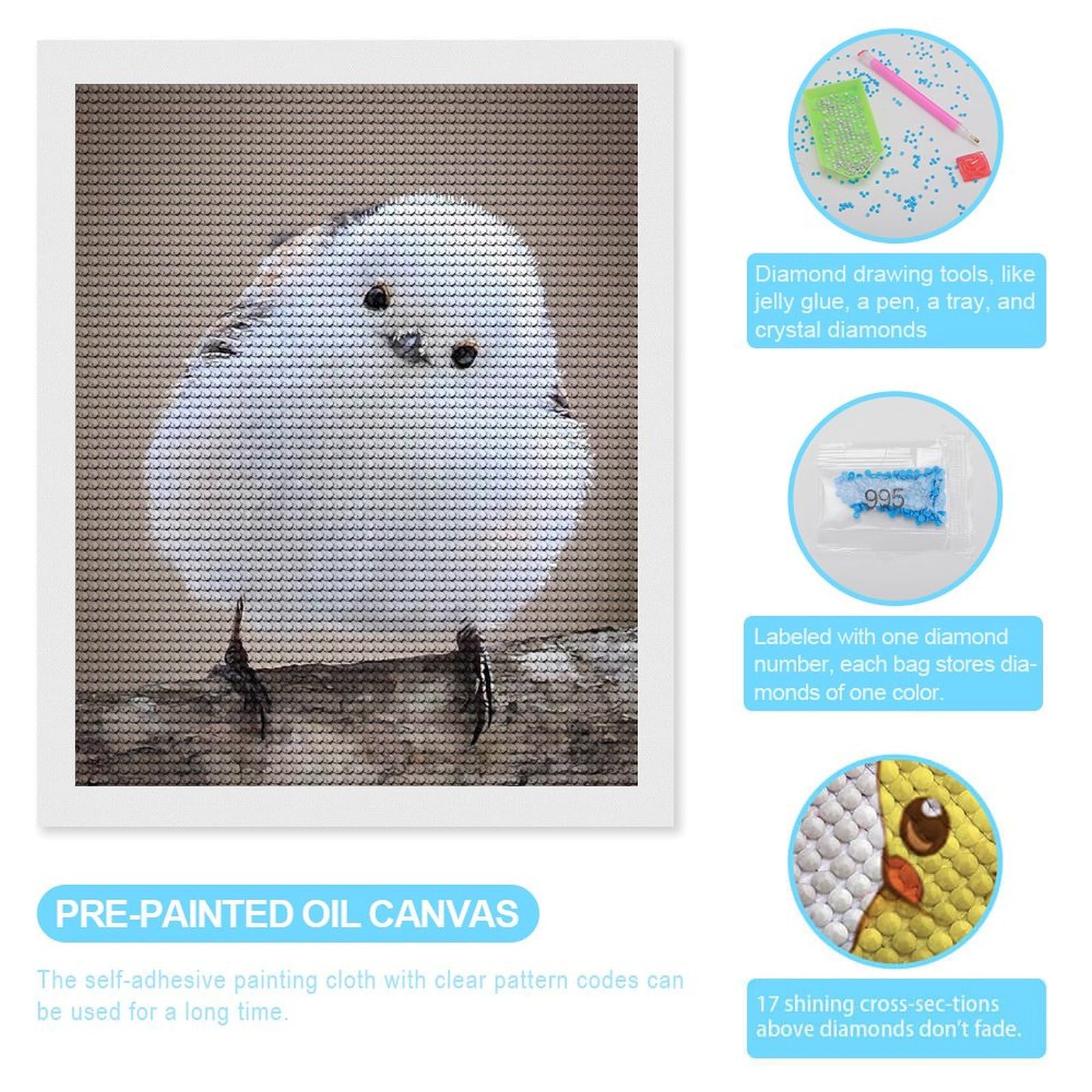 Amazon.co.jp: ダイヤモンドアート シマエナガ 鳥 北海道 雪の妖精 (18 