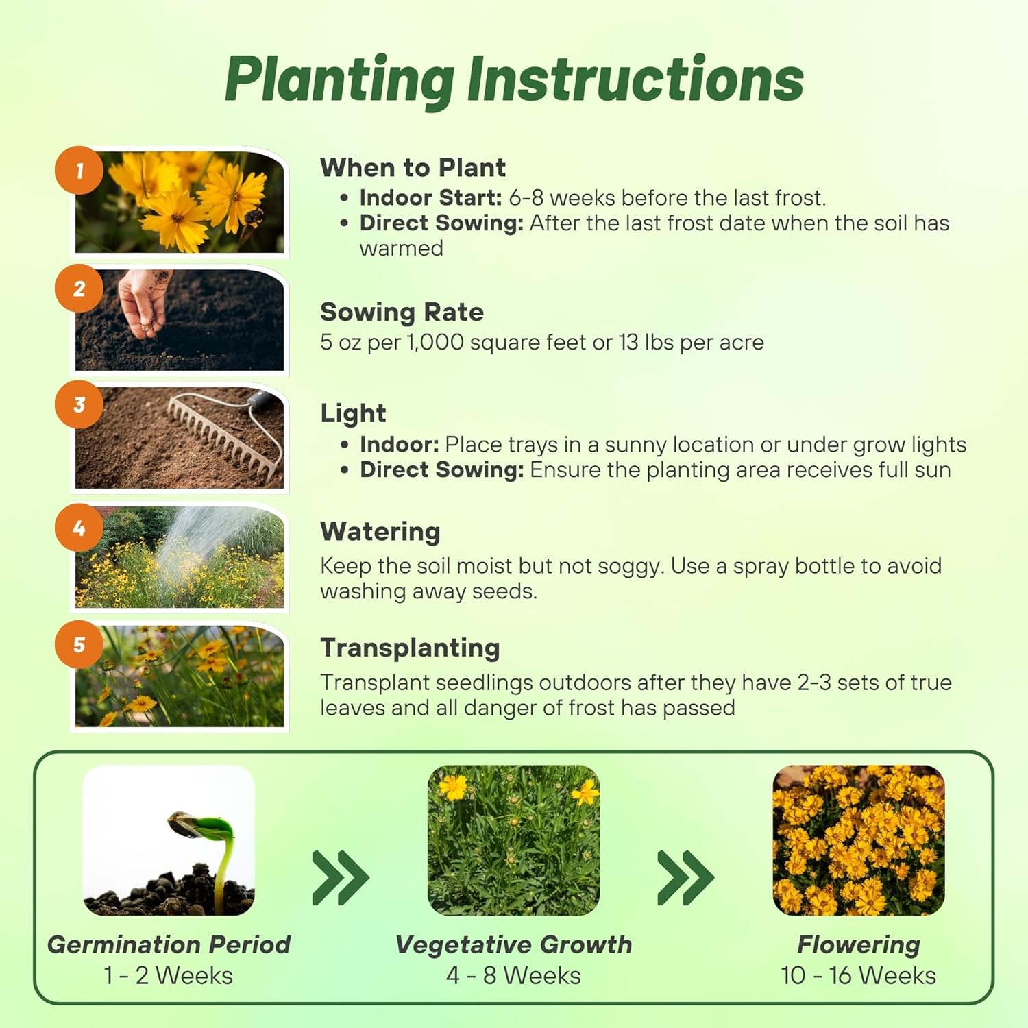 Outsidepride Lance-leaved Coreopsis Seeds - 1 lb. Perennial, Humidity & Drought Tolerant Flower Seeds for Planting Clumping Vibrant Golden Blooms, Ideal for Xeriscaping and Low Maintenance Gardens