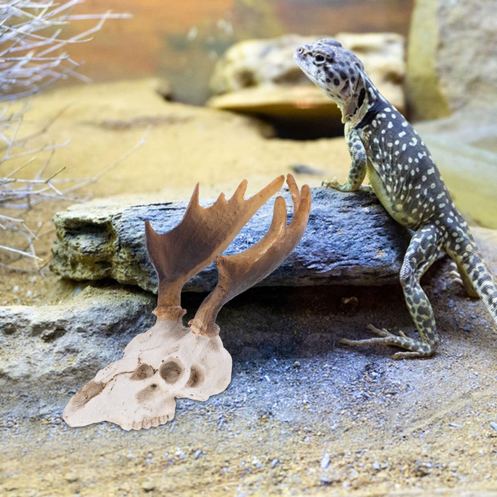 Sosoport 3stücke Reptilien Versteck Höhlen-Dekoration Aus Harz Mit Einzigartigem Elch-schädel-Design Für Terraristische Landschaftsgestaltung Für Kleine Reptilien Und Amphibien