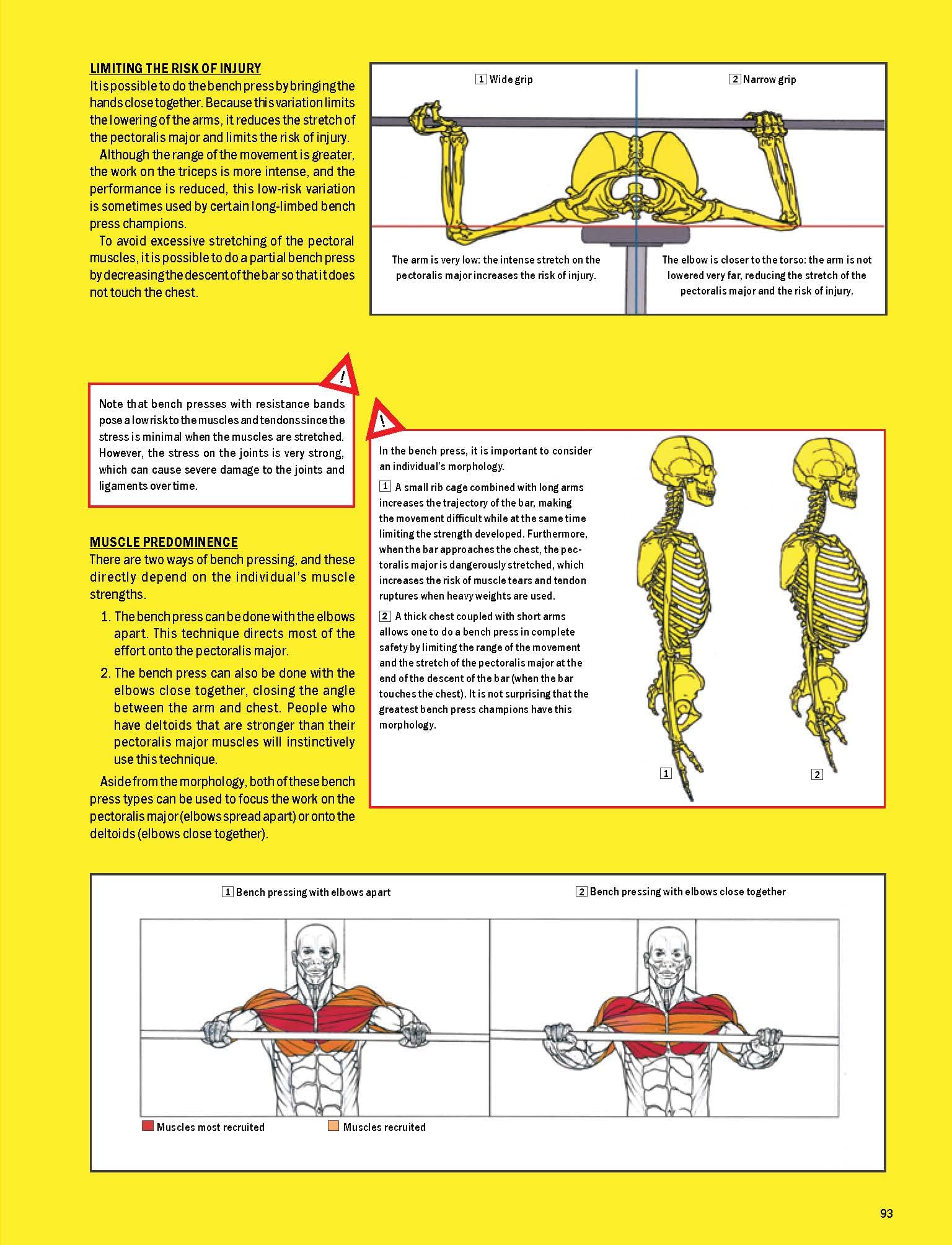Strength Training Anatomy