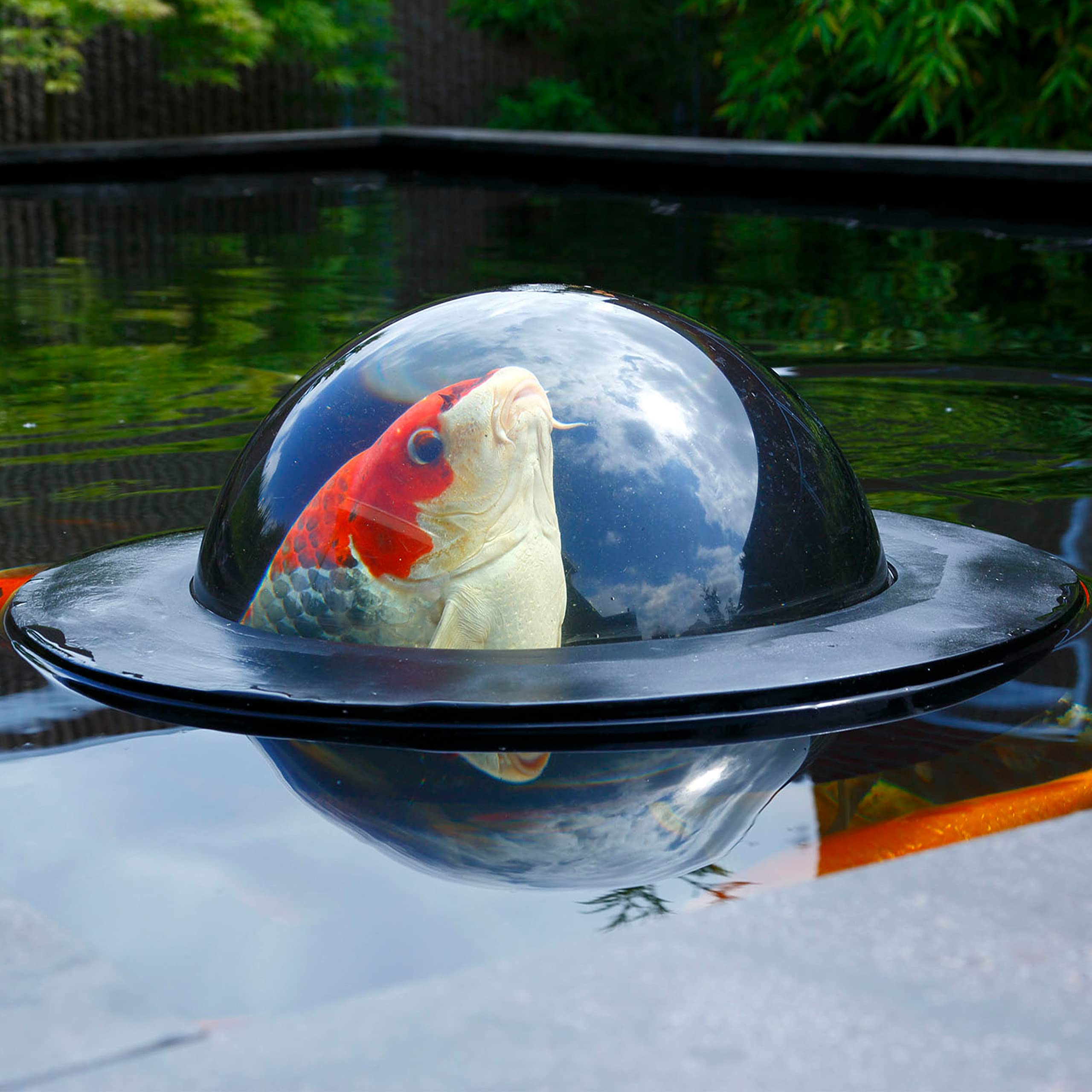 Velda 123503 Plexiglas-Kuppel zum Beobachten von Teichfischen, Ø 35 cm, Floating Fish Dome M