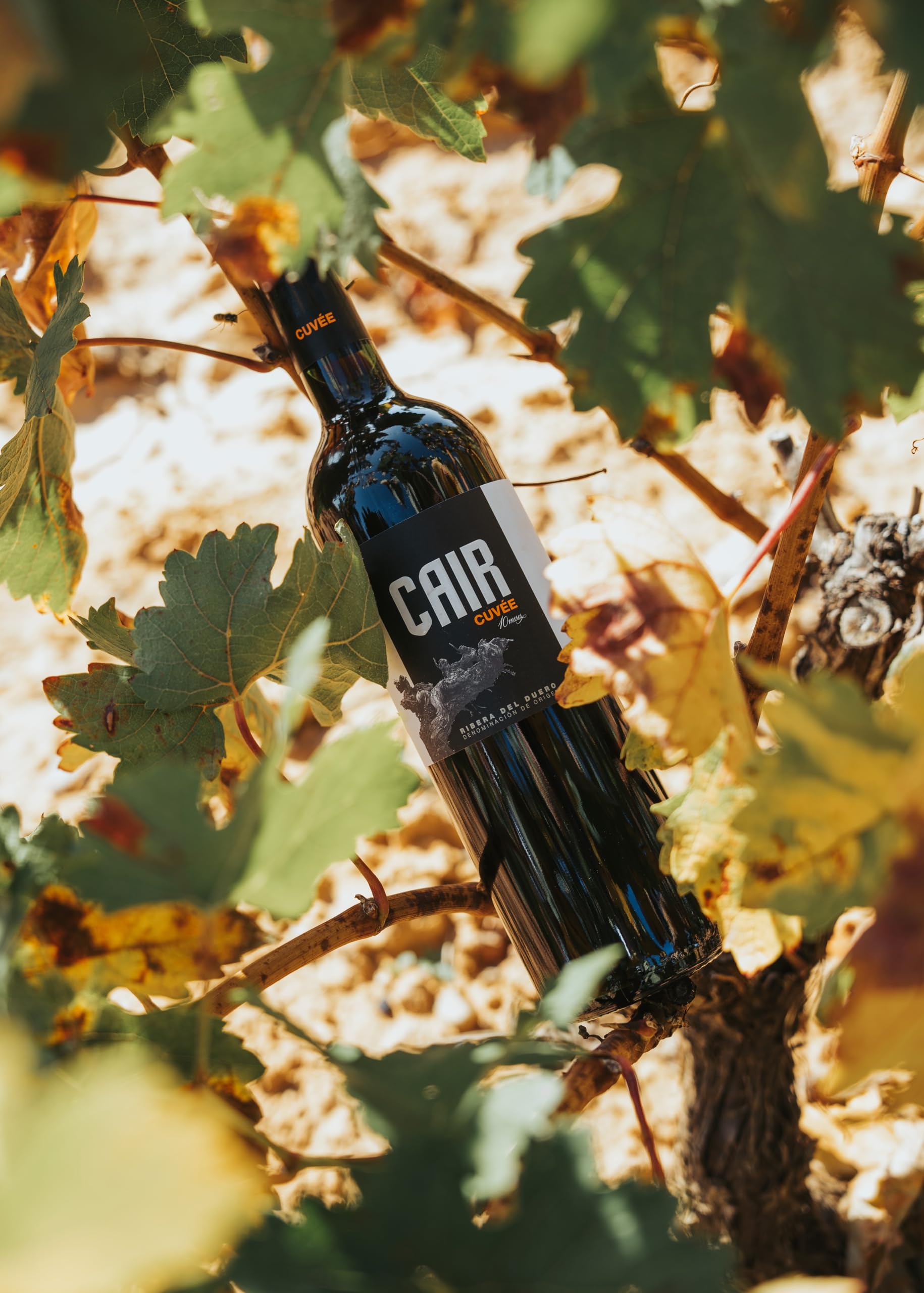 Cair Cuvée- Vino Tinto con D.O. Ribera del Duero - Variedad de Uva Tempranillo y Merlot - Notas de Fruta Roja y Tonos Florales - Crianza durante 10 meses - Incluye Estuche - 6 Botellas de 75 cl