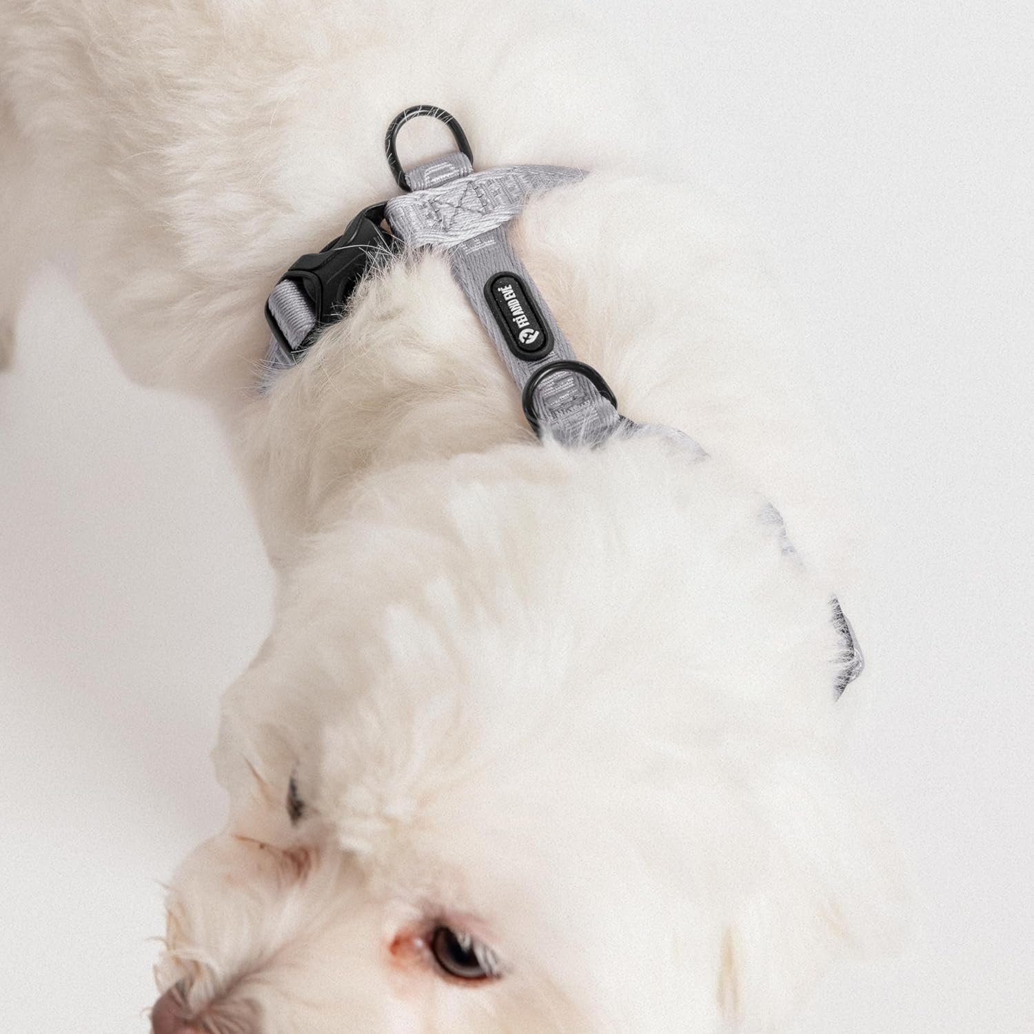 Fei & Eve Moxie H-Shape Dog Harness | Ultra-Lightweight | 3-Leash System for No-Pull Control | Easy On-Off | Adjustable 210D Breathable Nylon | Soft Padded Lining, Twilight Gray, S