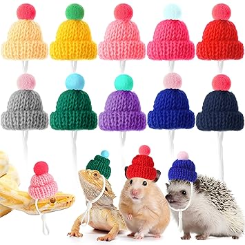 10 Pieces Pet Snake Hat Snake Hat with Adjustable Chin Strap Bearded Dragon Hamster Hat Cute Tiny Hat for Pets Adjustable Snake Hat with Pompon for Small Animal Birthday Christmas Theme Party Supplies