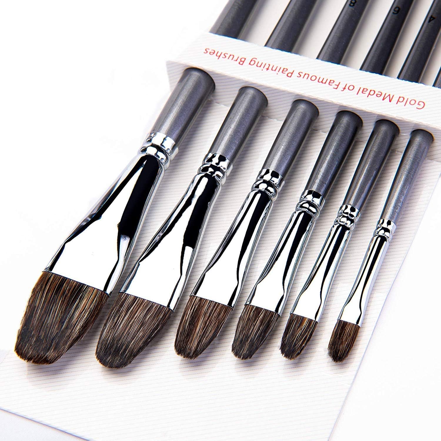 6 Piece Professional Brushes Made of Badger Hair,Long Handle.Equally Useful for Oil, Acrylic & Watercolor Fine Art Set.Adapt for Advanced & Beginner Artists, Students, and Professionals