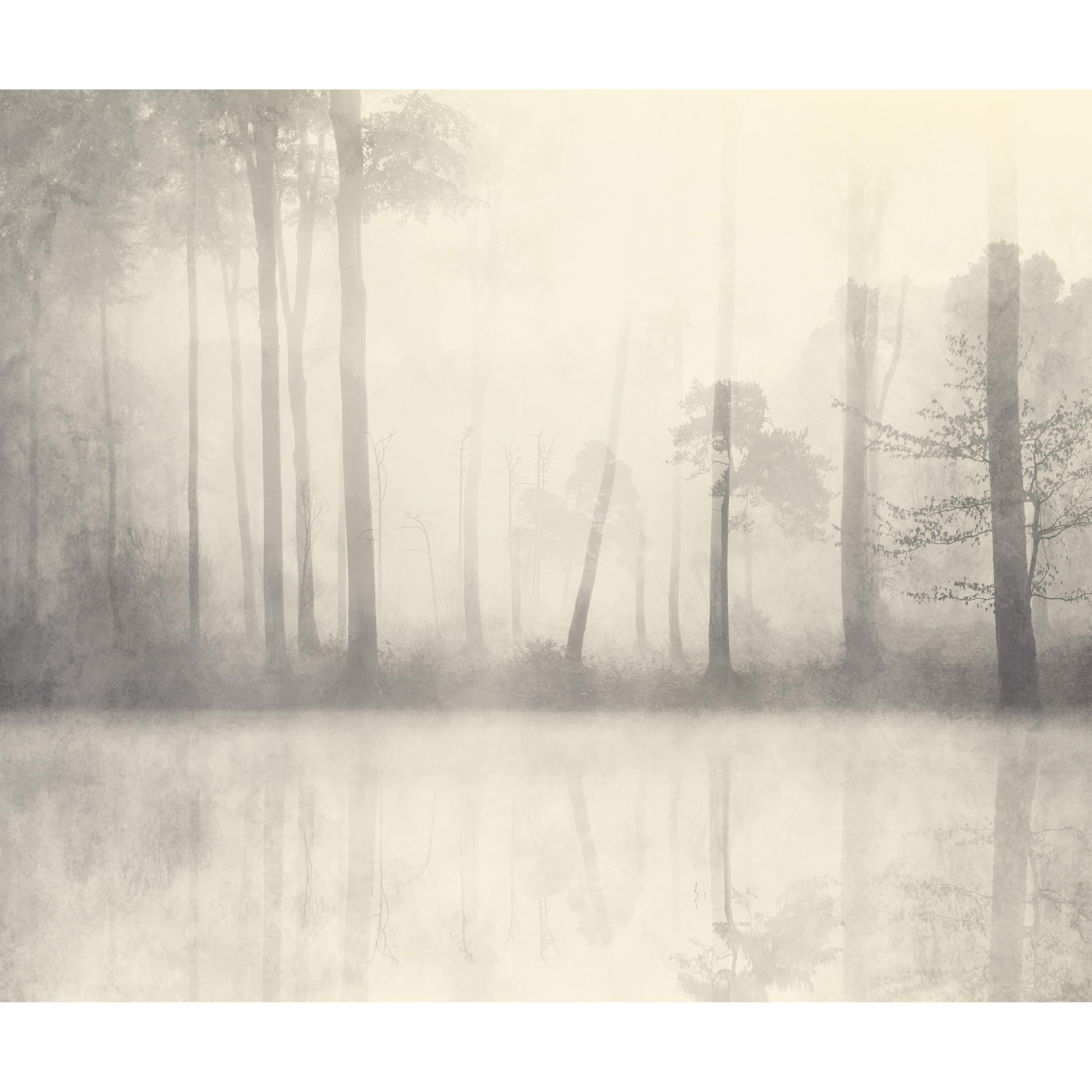 murando Fototapete Premium-Vlies Wald 450x315cm Foto Tapete Schlafzimmer Wohnzimmer Moderne Vliestapete XXL Wandtapete Motivtapeten Bildtapete 3d Effekt Wand Dekoration Bäume Nebel Bach Landschaft
