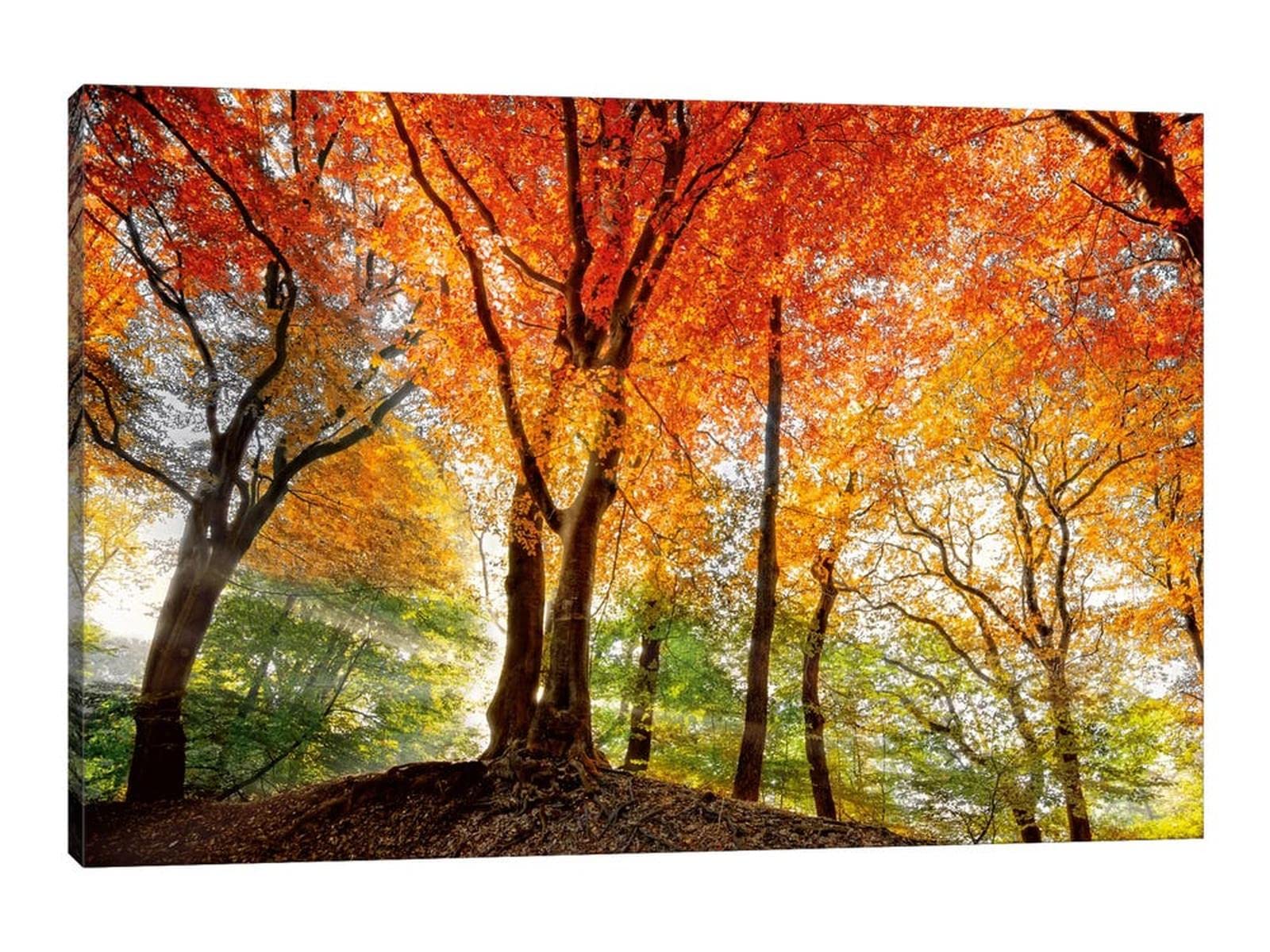 ウォールアート 風景画 Amazon.co.jp: TIMUBA 森のキャンバスウォールアート モダンな秋