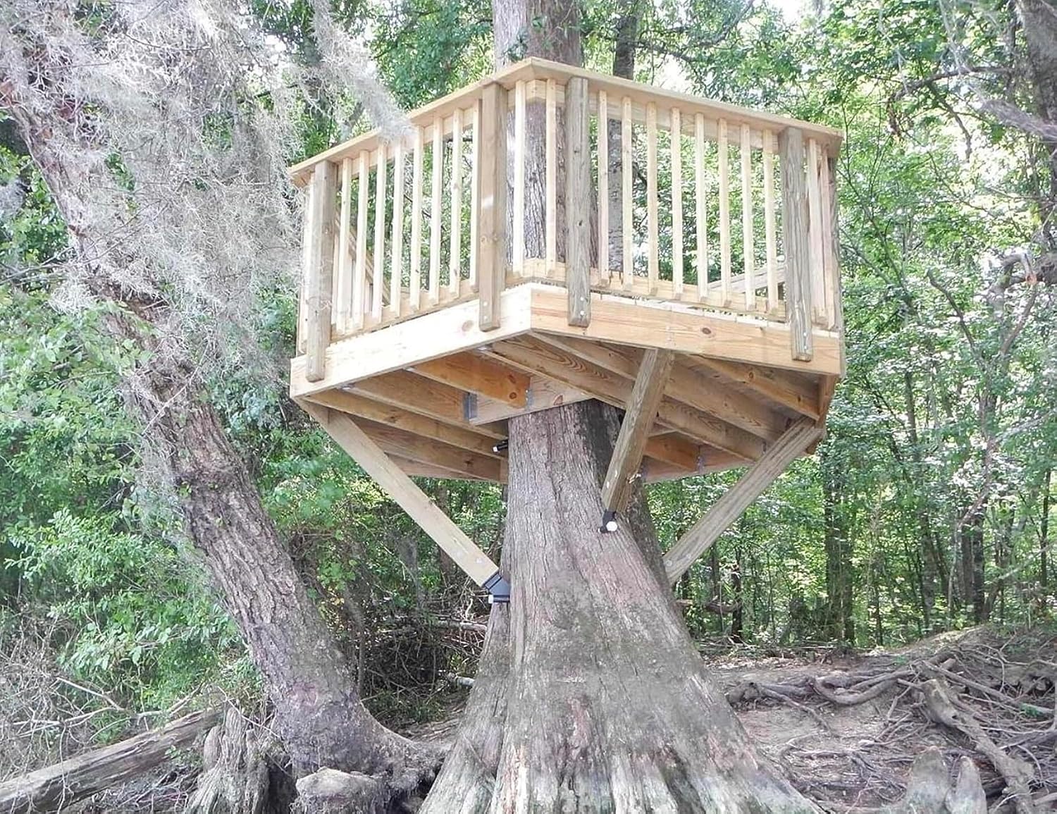 The Sierra © : 10' Hexagonal Treehouse Plan