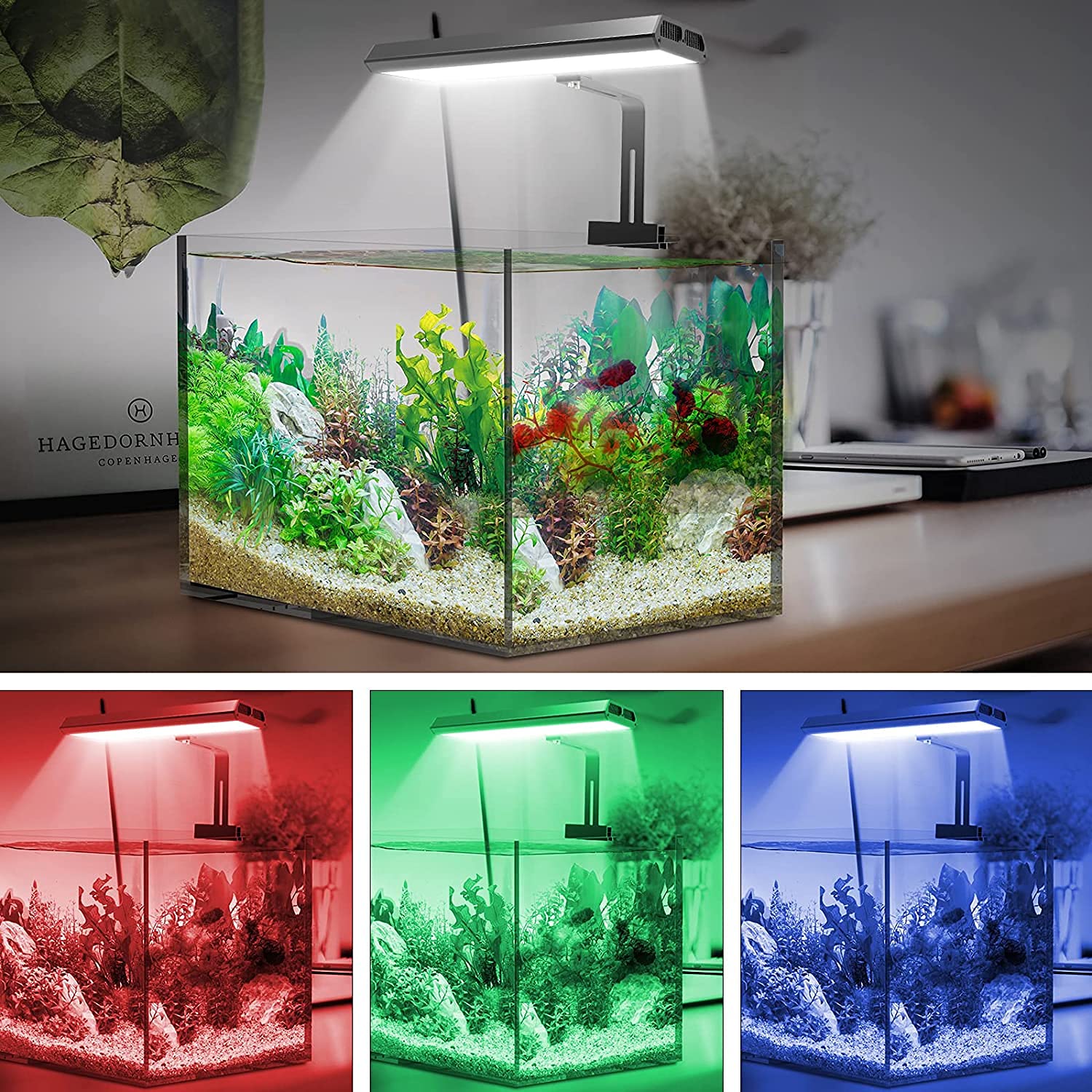 Buy Chihiros RGB Vivid Mini App Dimmable Aquarium RGB LED Light with BT