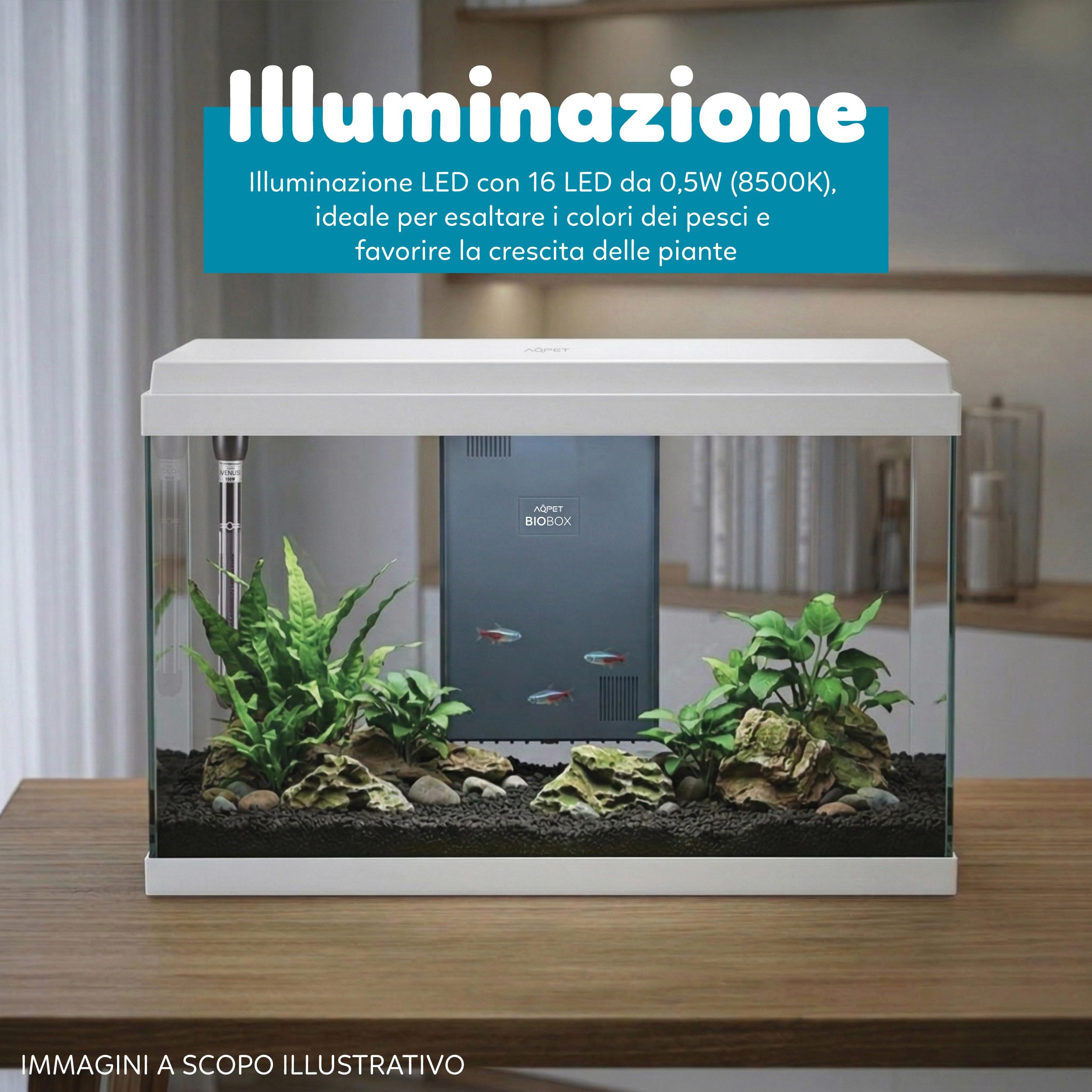 AQPET Acquario in Vetro per Pesci Tropicali Completo di Accessori Filtro Luce Simply, 60 59x30x39 cm 60 Litri, Bianco