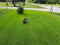 Review Image by Brandon E. Brandon E.