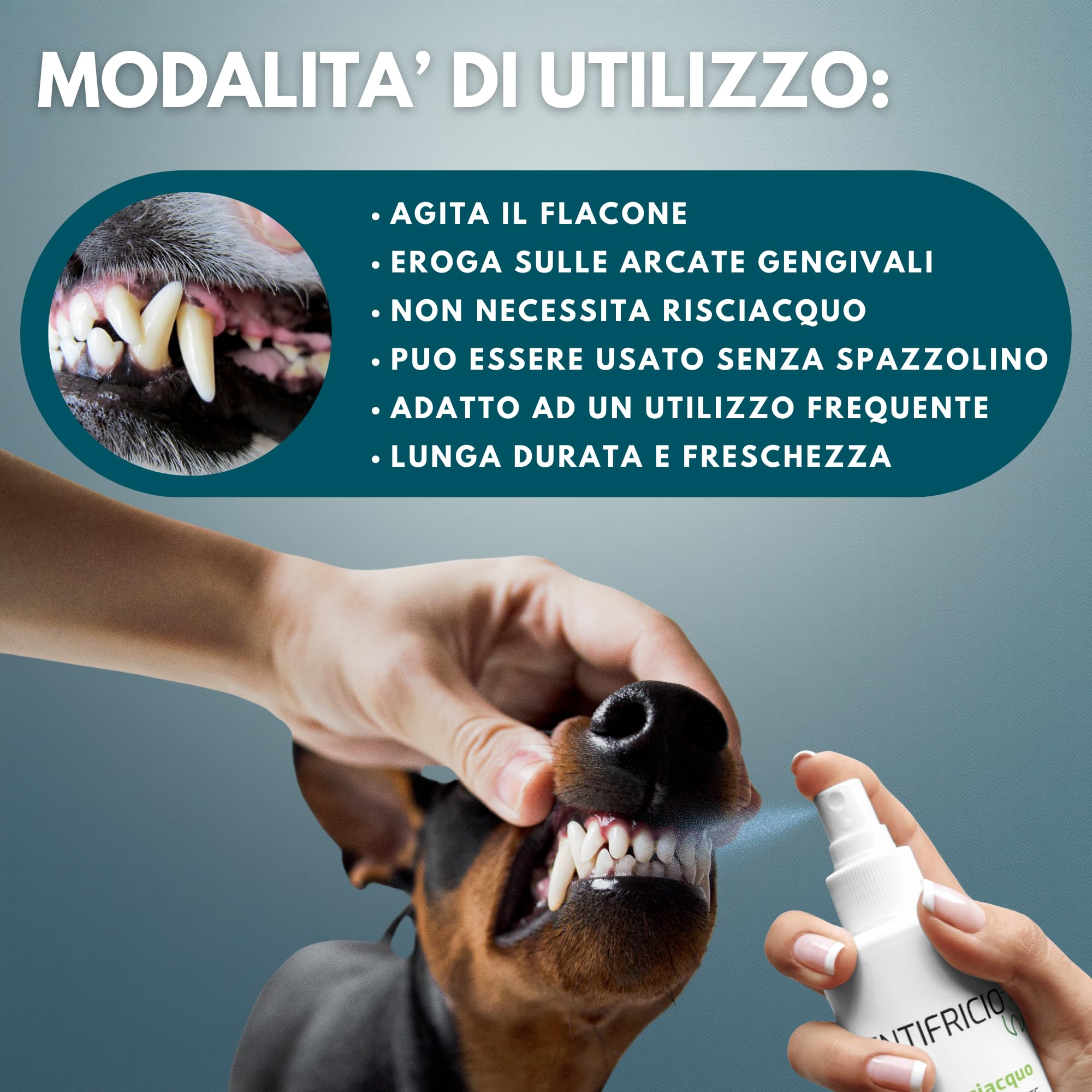 Dentifricio Spray per Cani e Gatti 160ml - Pulizia Denti Gengive Tartaro - Rinfresca Alito Menta Rosmarino