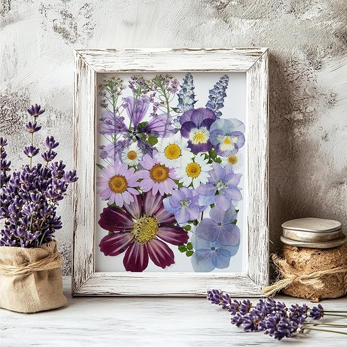 85 Flores Prensadas Reales Naturales para Manualidades DIY miniatura 8