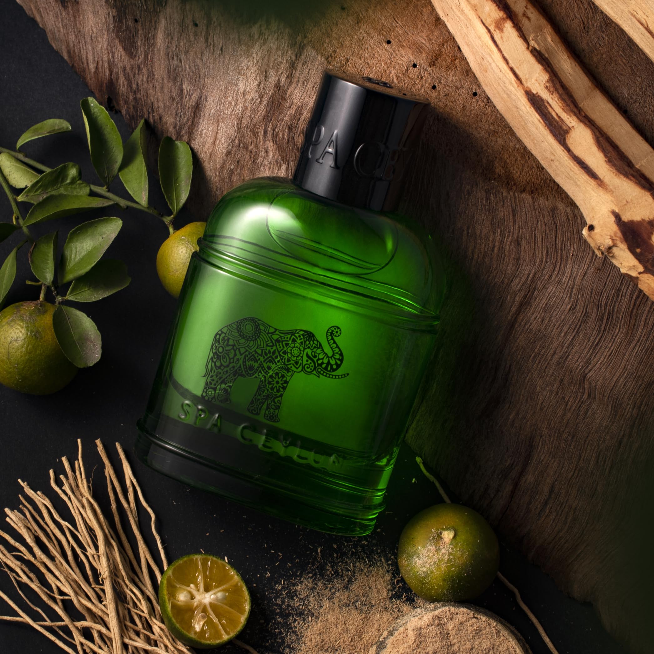 SPA CEYLON Forest Escape Eau de Parfum 100ml – Herrenduft mit holzig-würziger Duftnote – Maskulines Parfum mit Zitrus, Sandelholz & Patchouli – Vegan