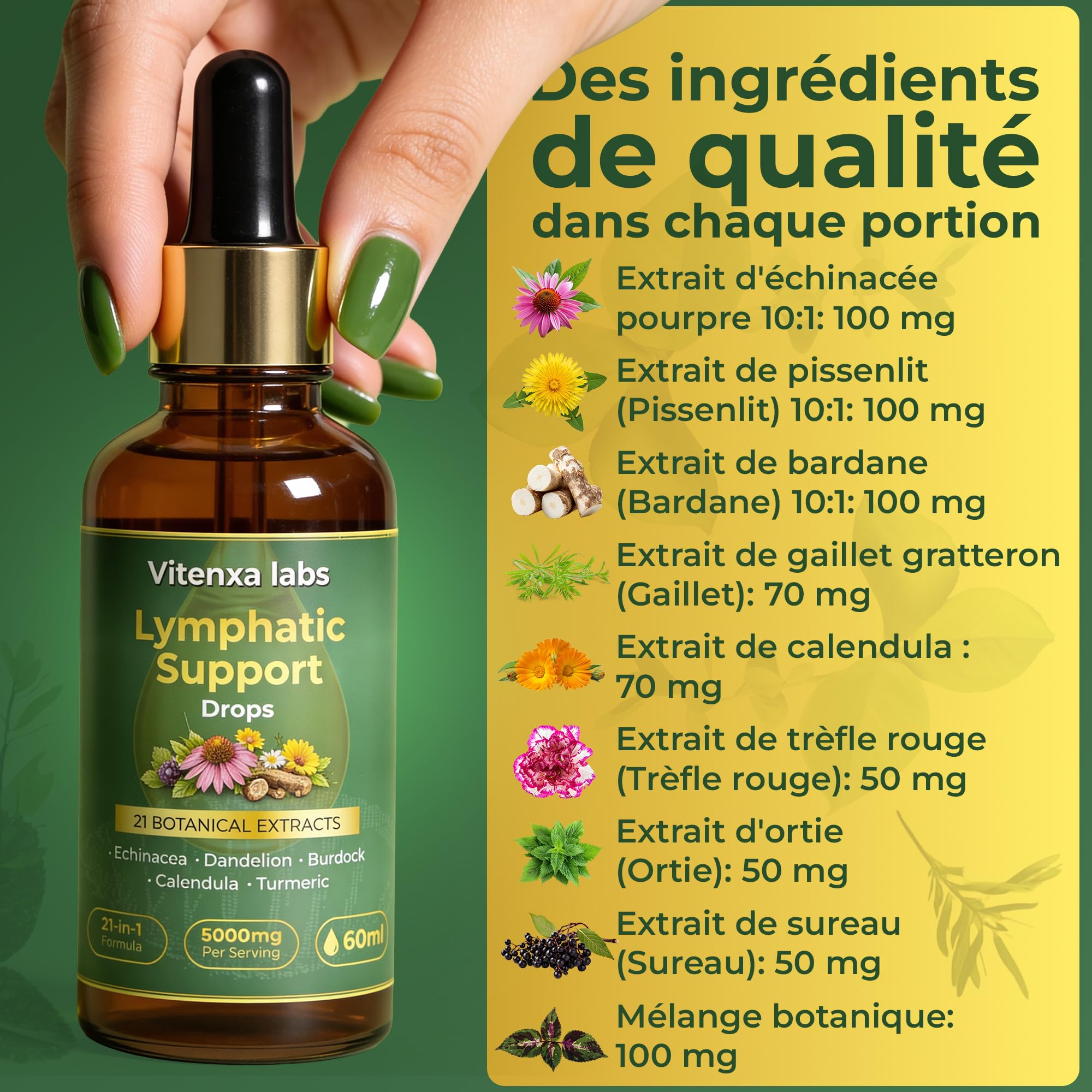 Gouttes pour le système drainage lymphatique- Extrait d'un mélange botanique 21 en 1 - Favorise l'équilibre, le bien-être et le système immunitaire - 100% naturel - Sans OGM - 60 ml