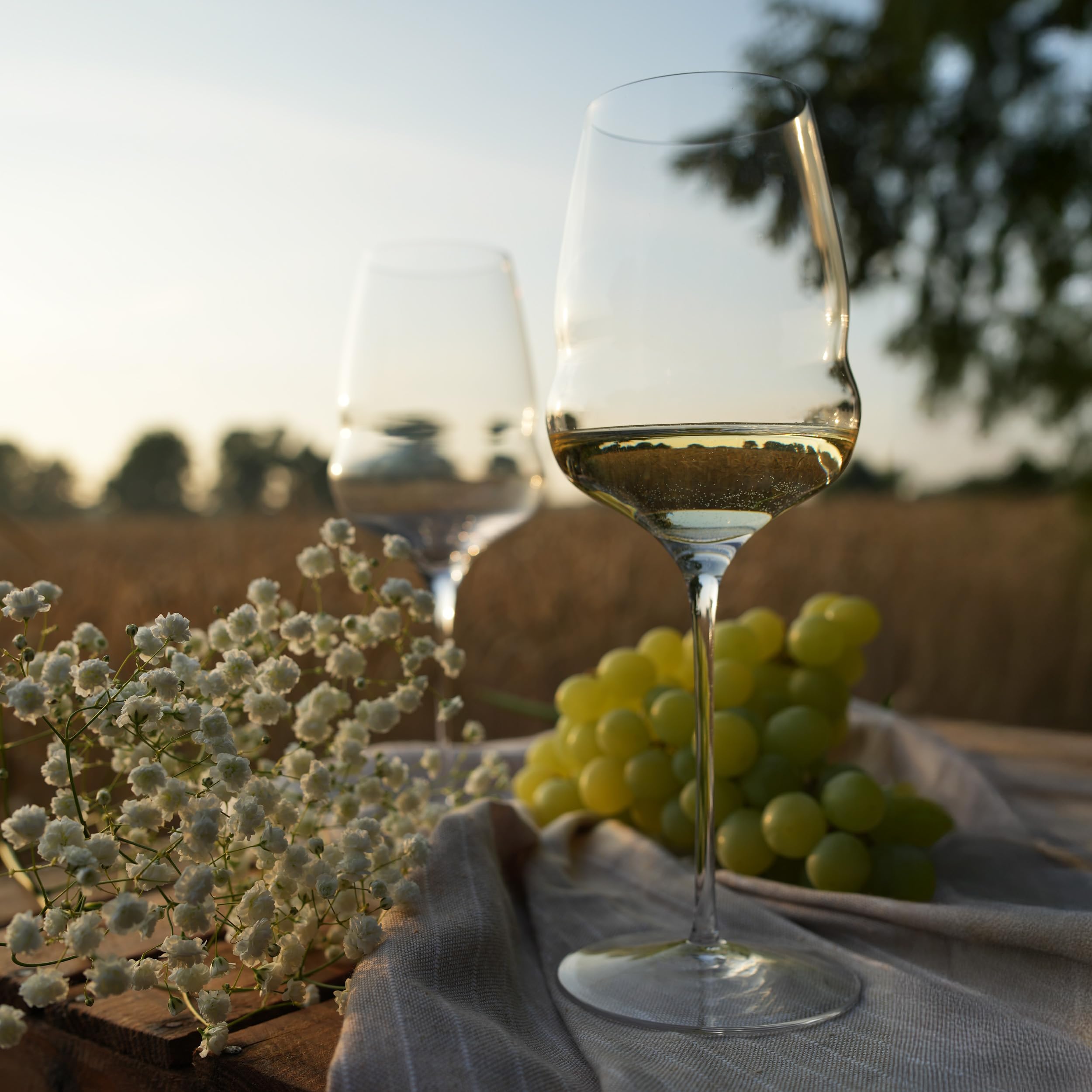 Stölzle Lausitz Kieliszki do Wina Białego Cocoon Zestaw 6 sztuk, 485 ml – Eleganckie Kieliszki do Wina Białego & Aperitifu – Kieliszki z Kryształu – Można Myć w Zmywarce