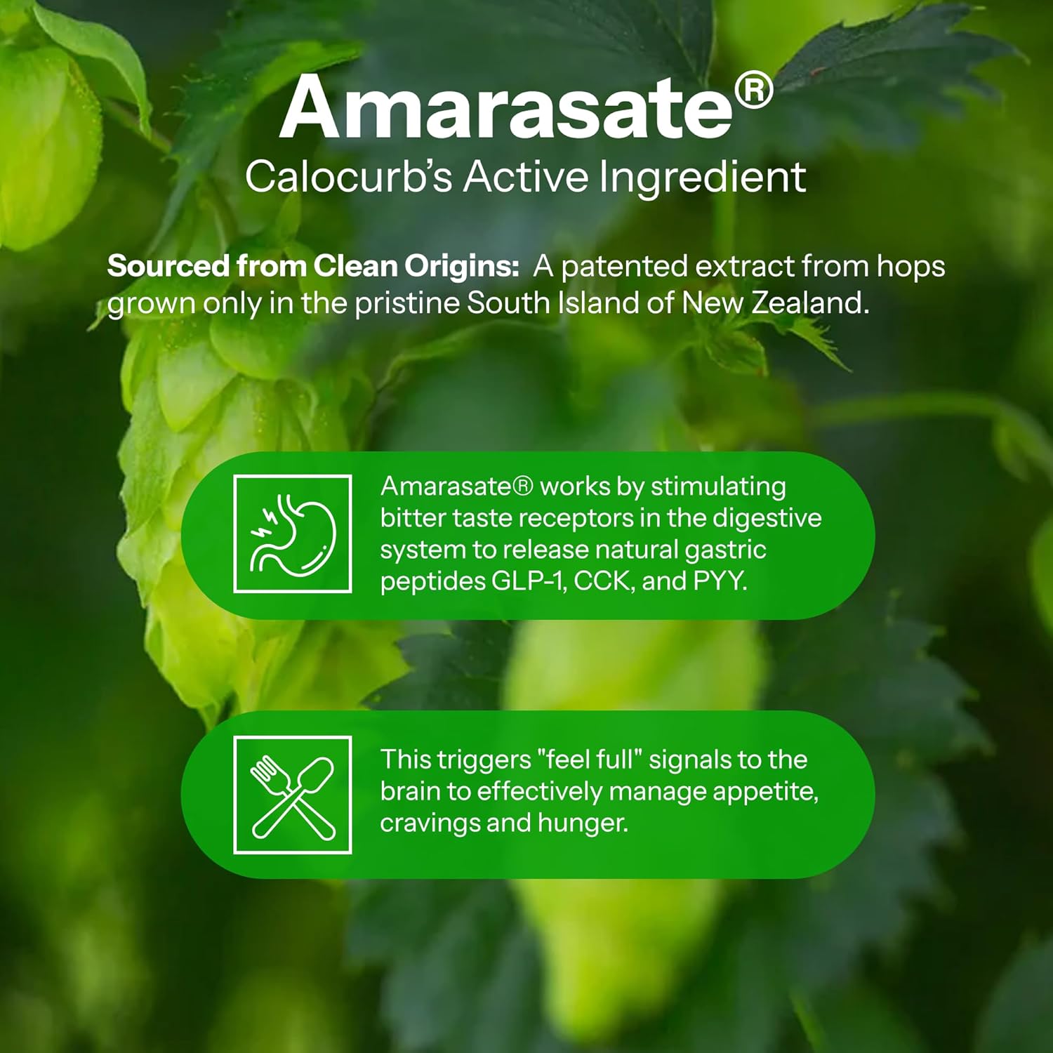 Calorie Control Supplement 6X Natural GLP-1 Support, Official & Patented Amarasate Formula, Plant Based Dietary GLP1 Supplement, Manages Appetite, Hunger & Cravings, 1 Month Average Supply, 90 Count - Image 5