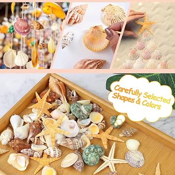 80+ Pcs Natural Seashells, Mixed Sea Shells for Crafts, Various Sizes Ocean Shells Starfish Conch for decorating, Beach Theme Party, DIY Crafting, Fish Tank Filling, Home Decor, Wedding Decoration