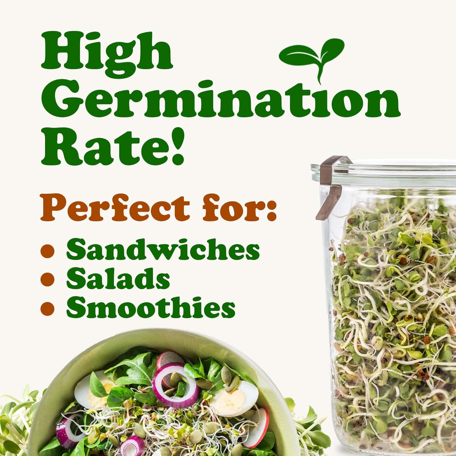 Food to Live - Antioxidant Mix of Sprouting Seeds, 5 Pounds — Broccoli, Clover, Alfalfa, Kosher, Raw, Vegan