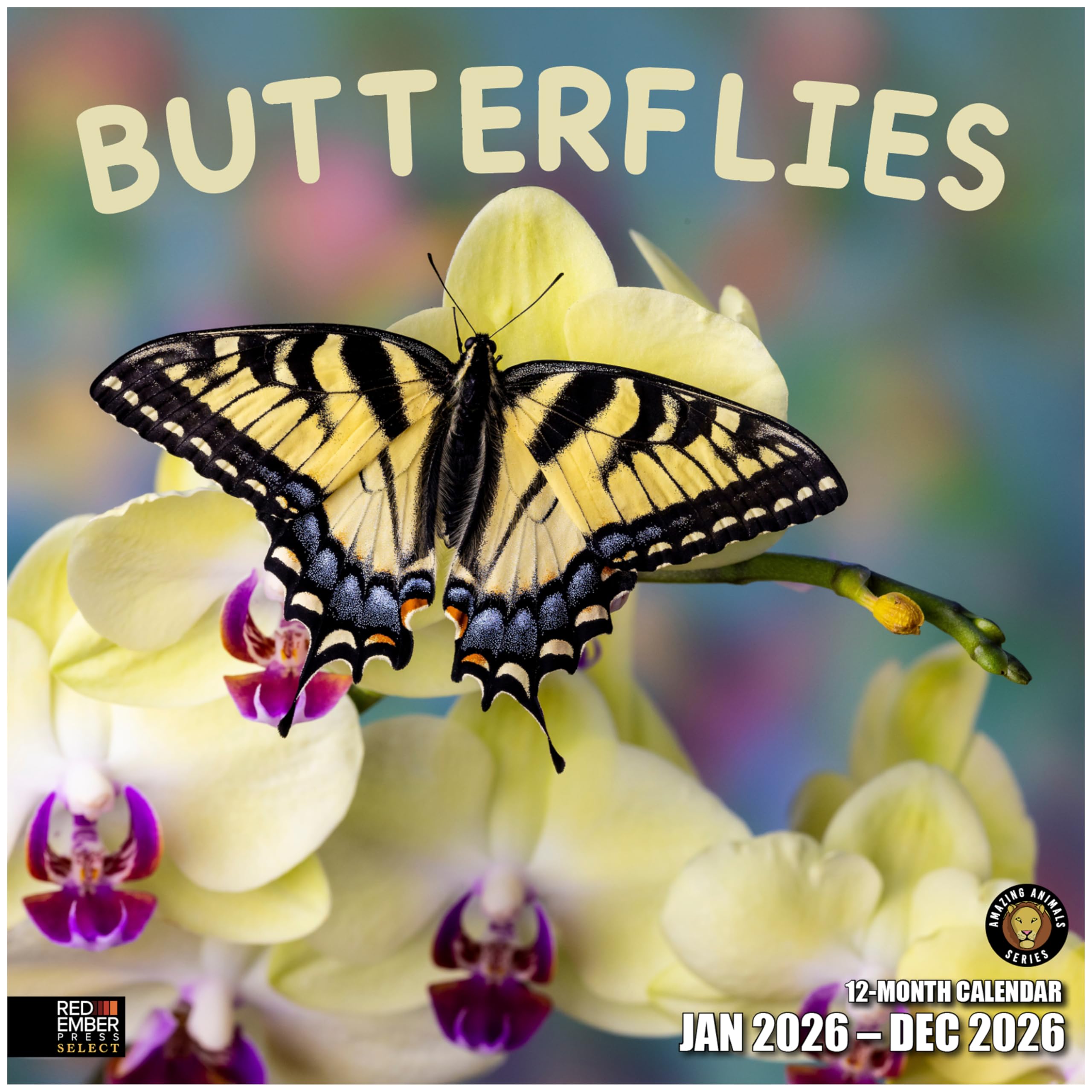 RED EMBER Select - Butterflies 2026 Wall Calendar 12 Month | 12" x 24" Open | Thick & Sturdy Paper | Giftable | Calendar 2026 โ image 1