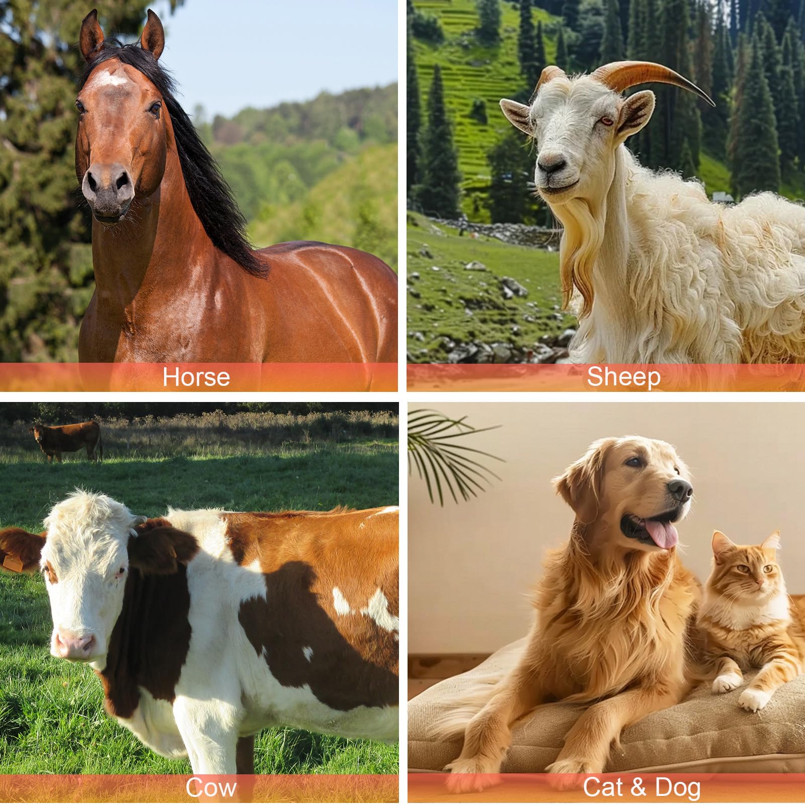 Toilettage Cheval Brosse, Toilettage Massage Brush Cheval avec Porte-Peignes en Cuir,Convient aux Chevaux, Chats, Chiens (Manche en Bois)