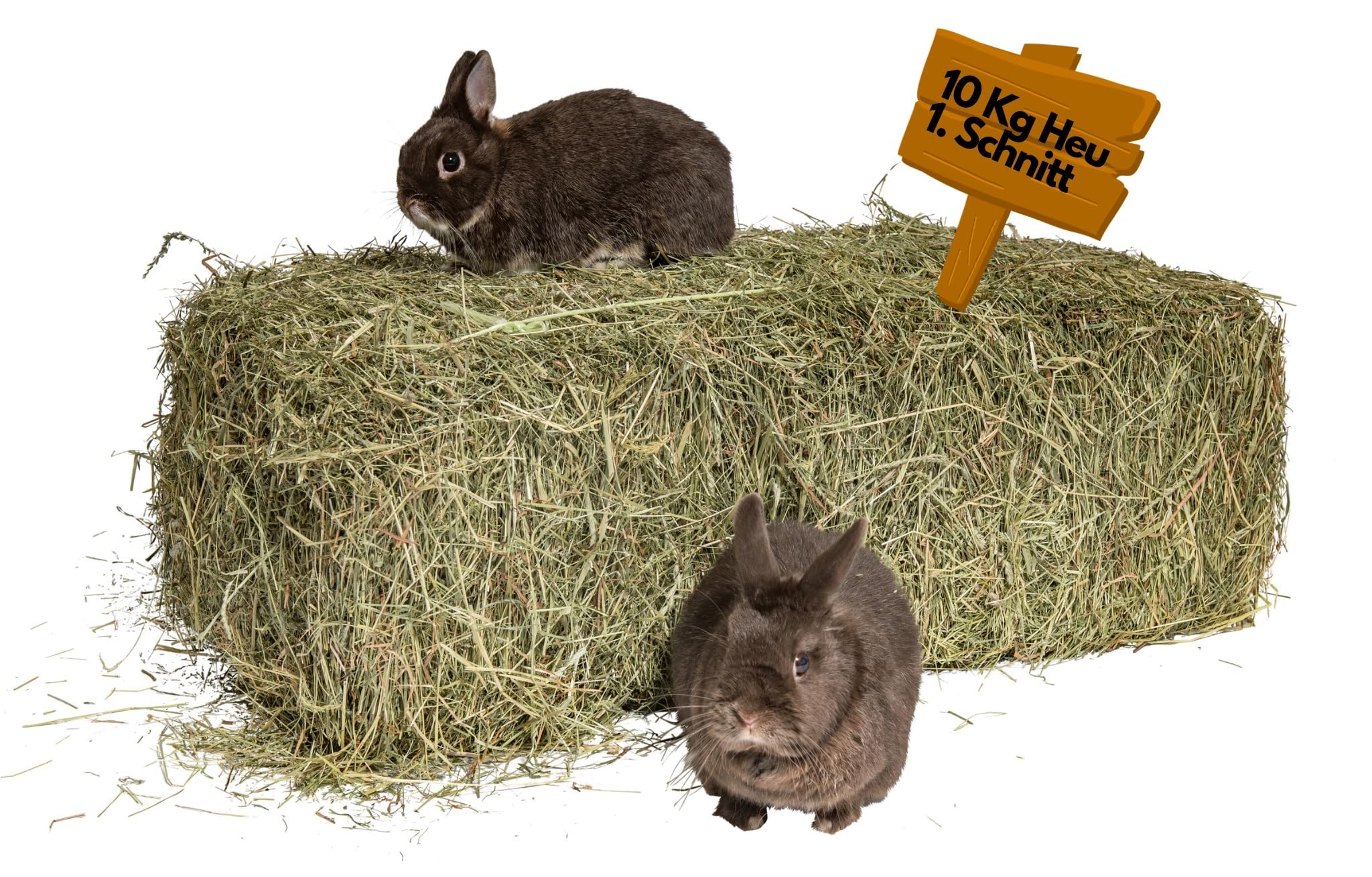 agrar-Store Heno 10 kg Heno de heno de prado 1. Corte de heno de conejo, heno de cobaya, paja fresca y sin tratar, cosecha 2024