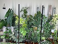 Review Image by pdxguy pdxguy